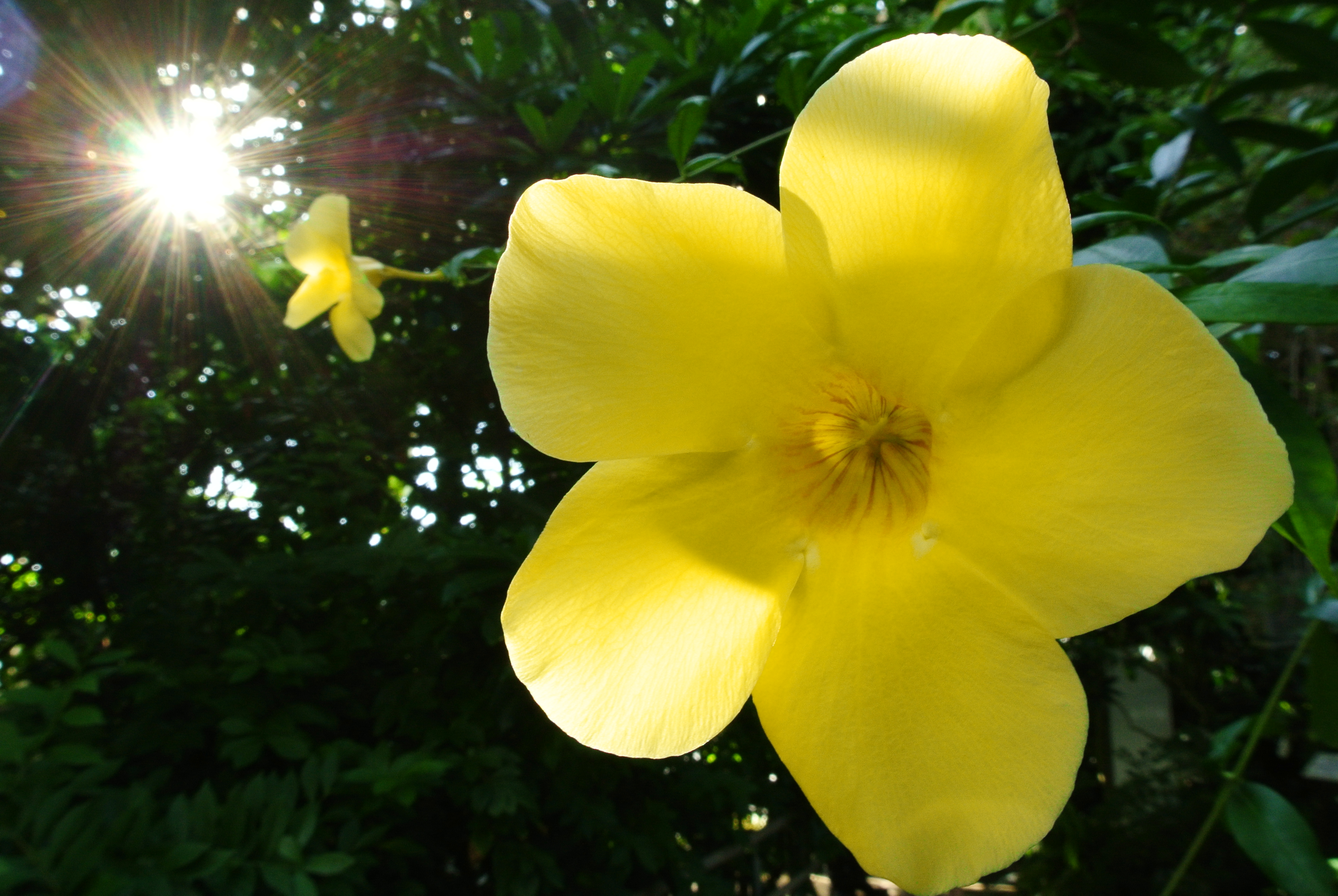 <b>Nikon 1 J2 / 1 NIKKOR VR 10-30mm F3.5-5.6 / 約5.1MB / 3,872×2,592 / 1/30秒 / F11 / 0EV / ISO450 / 11.8mm</b>