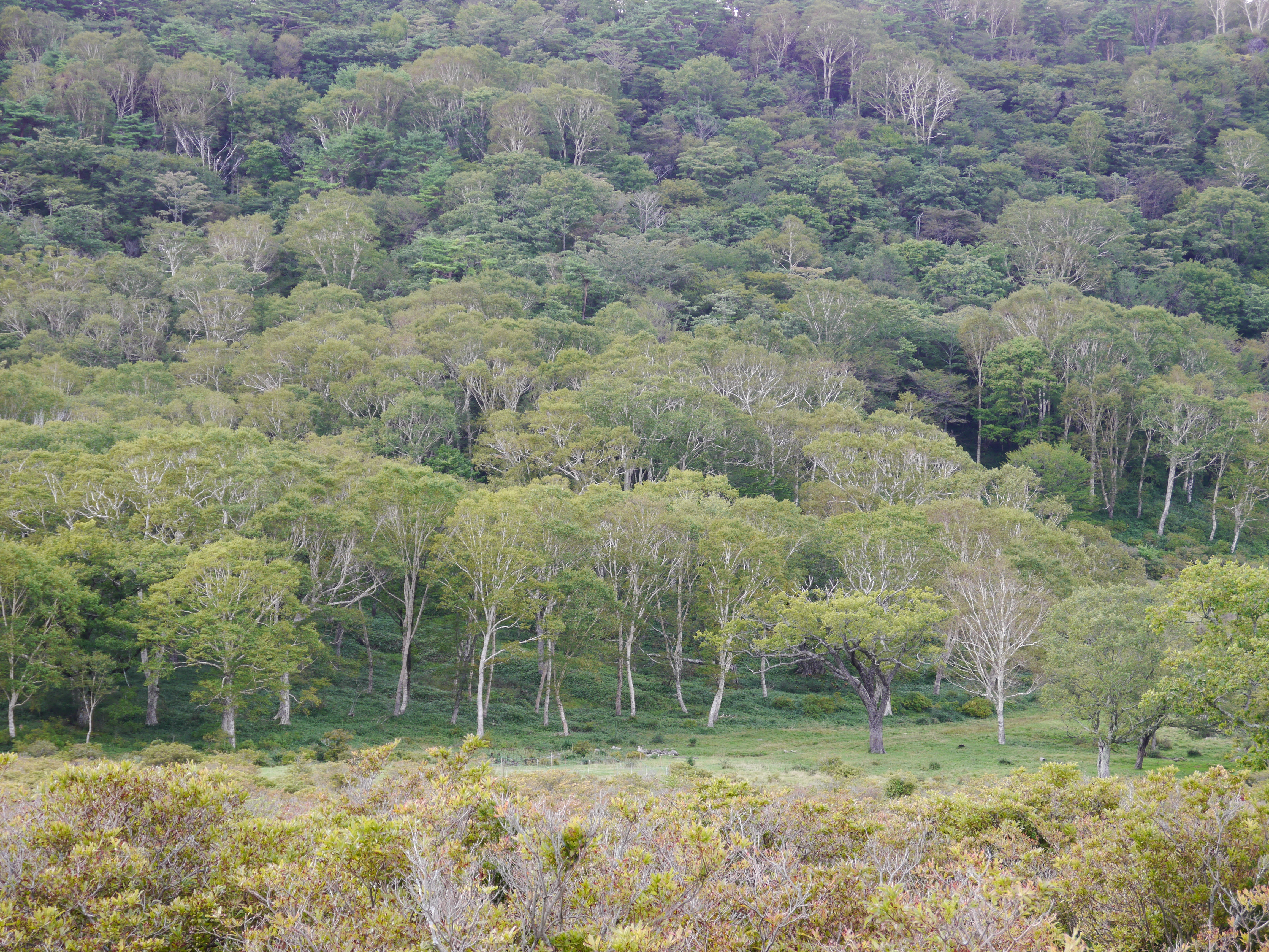 <b>フォトスタイル：風景</b>