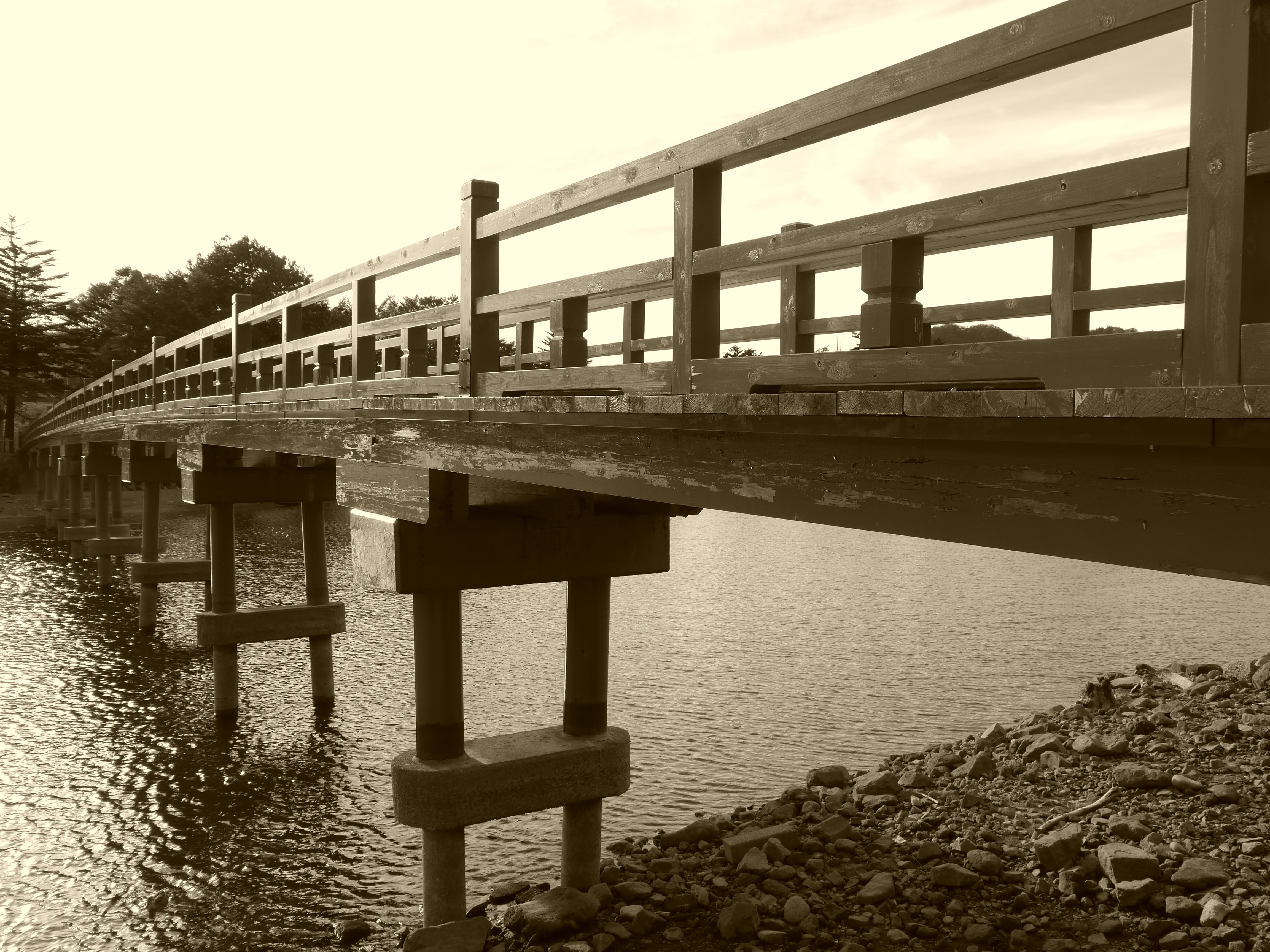 <b>クリエイティブコントロール：セピア</b>