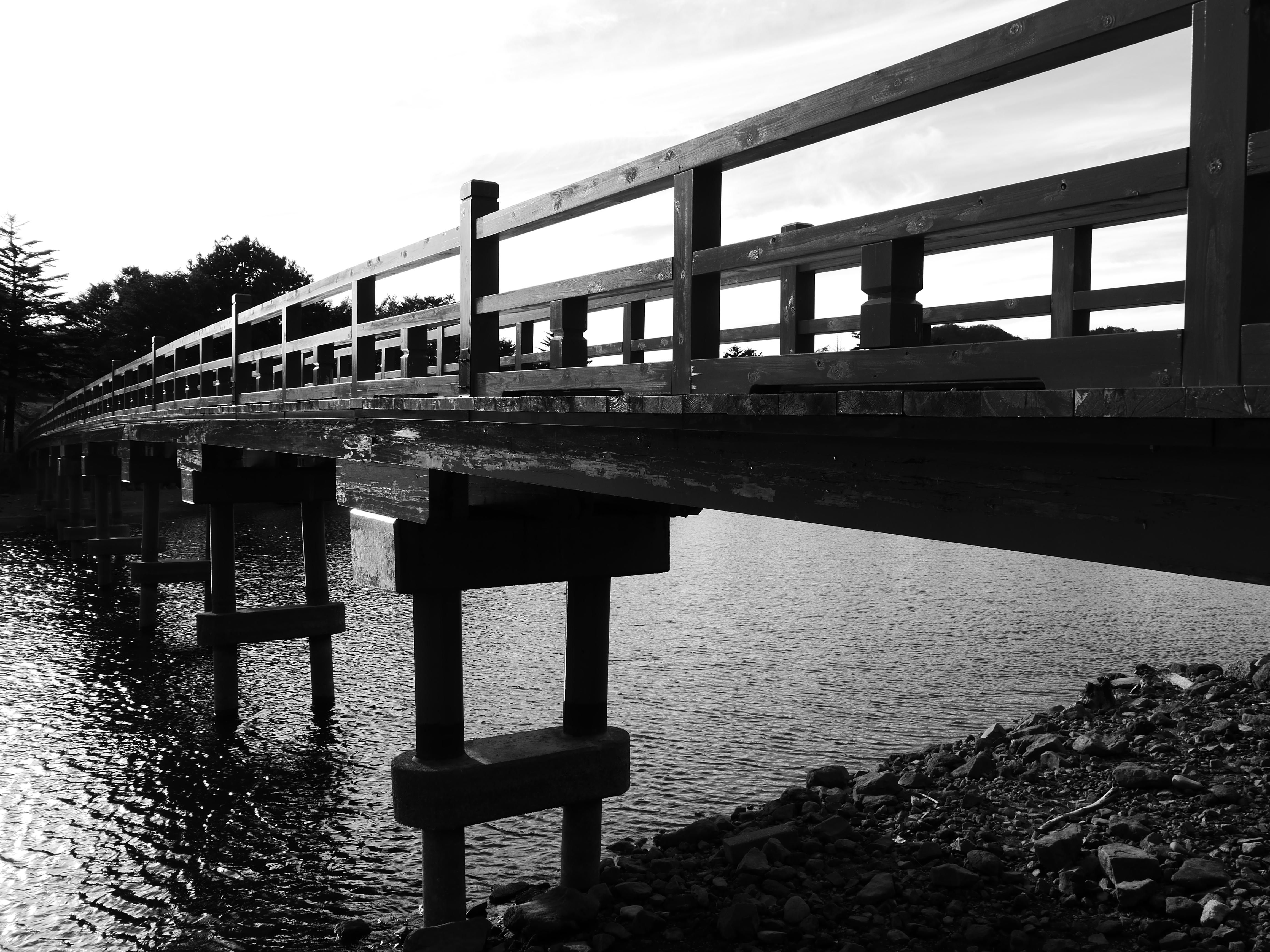 <b>クリエイティブコントロール：ダイナミックモノクローム</b>