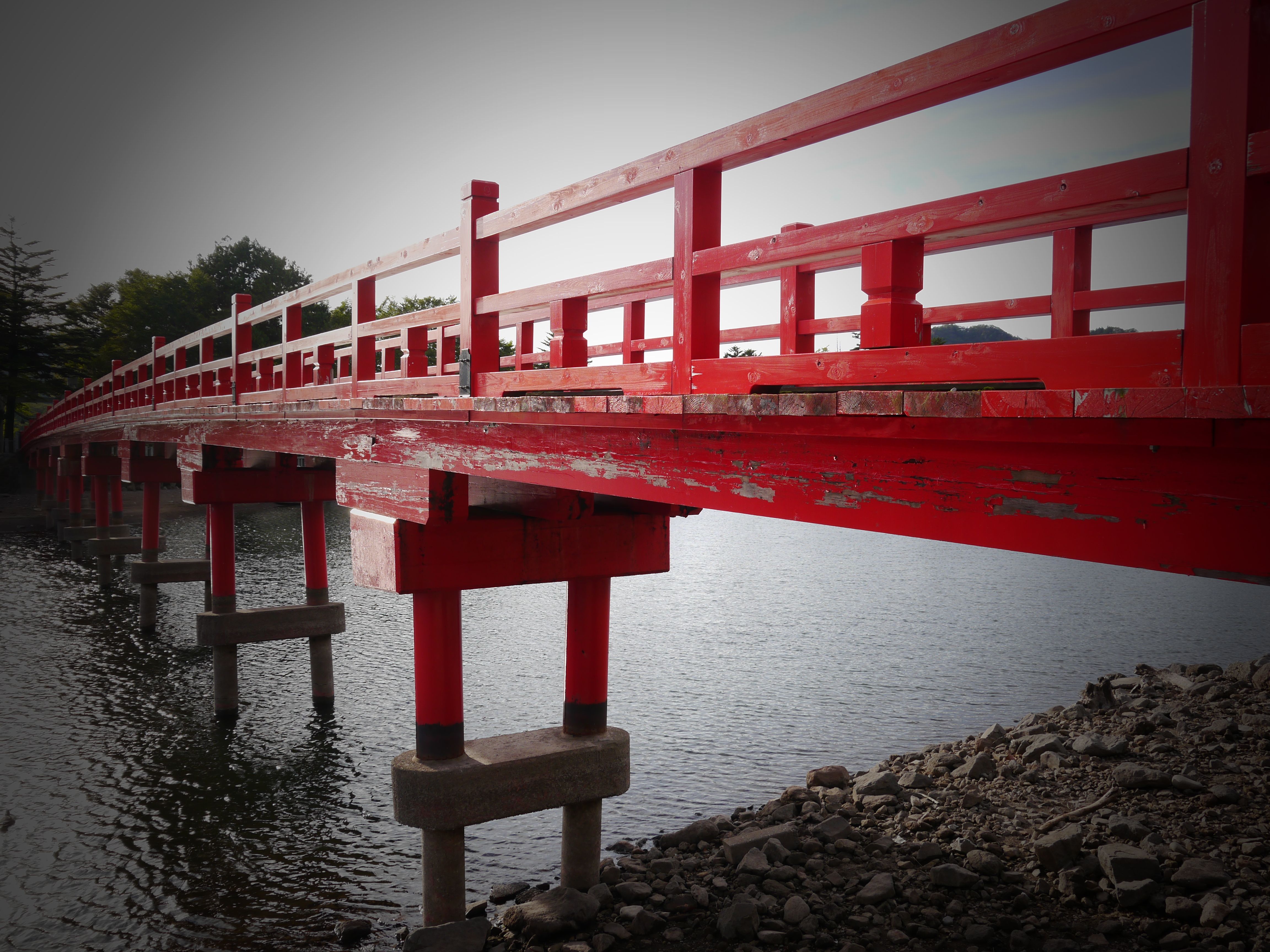 <b>クリエイティブコントロール：トイフォト</b>