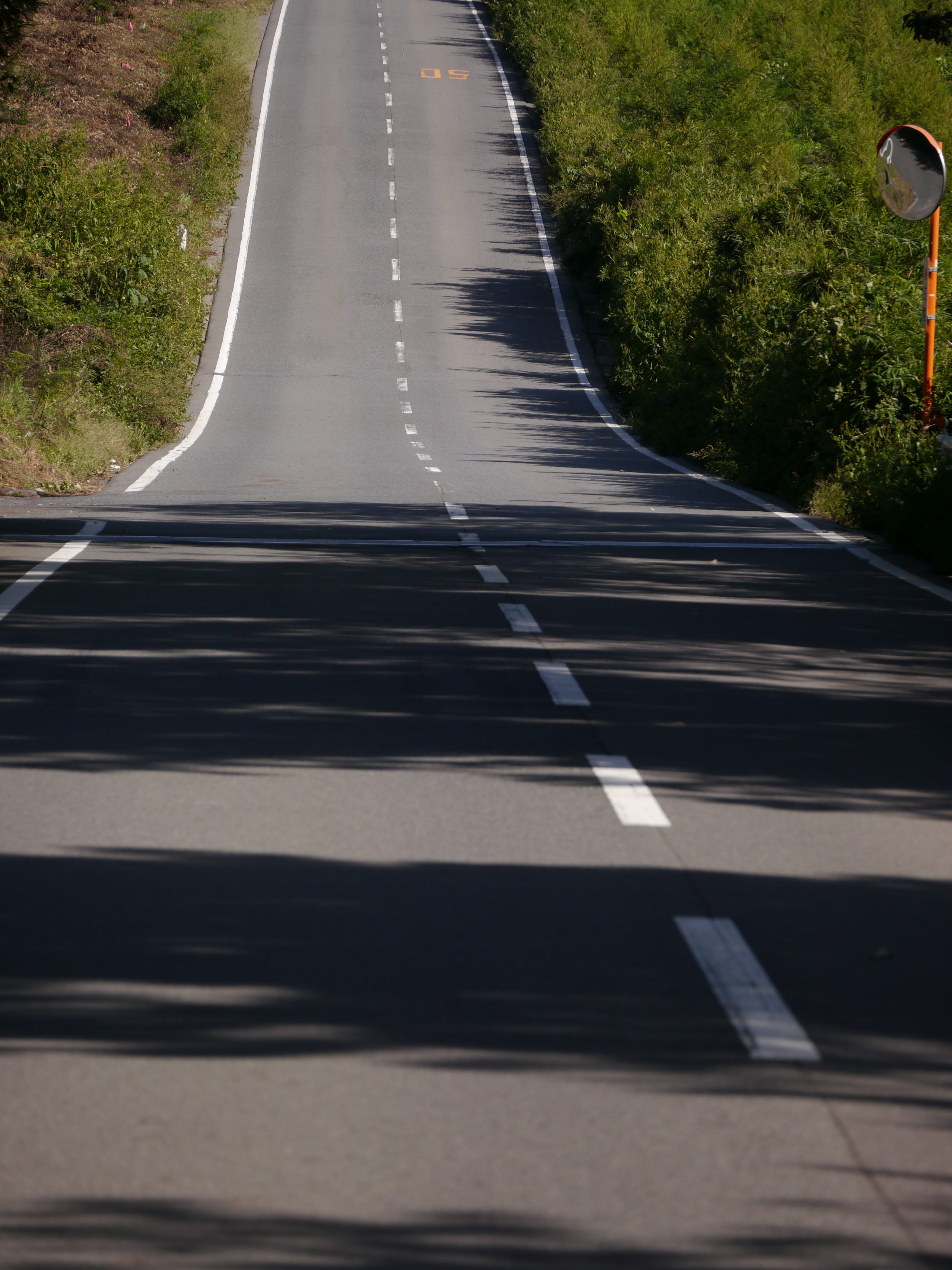 <b>DMC-G5 / LUMIX G VARIO 45-150mm F4-5.6 ASPH. MEGA O.I.S. / 約7.5MB / 3,456×4,608 / 1/500秒 / F7 / -1EV / ISO160 / WB：オート / WB：オート / 150mm</b>