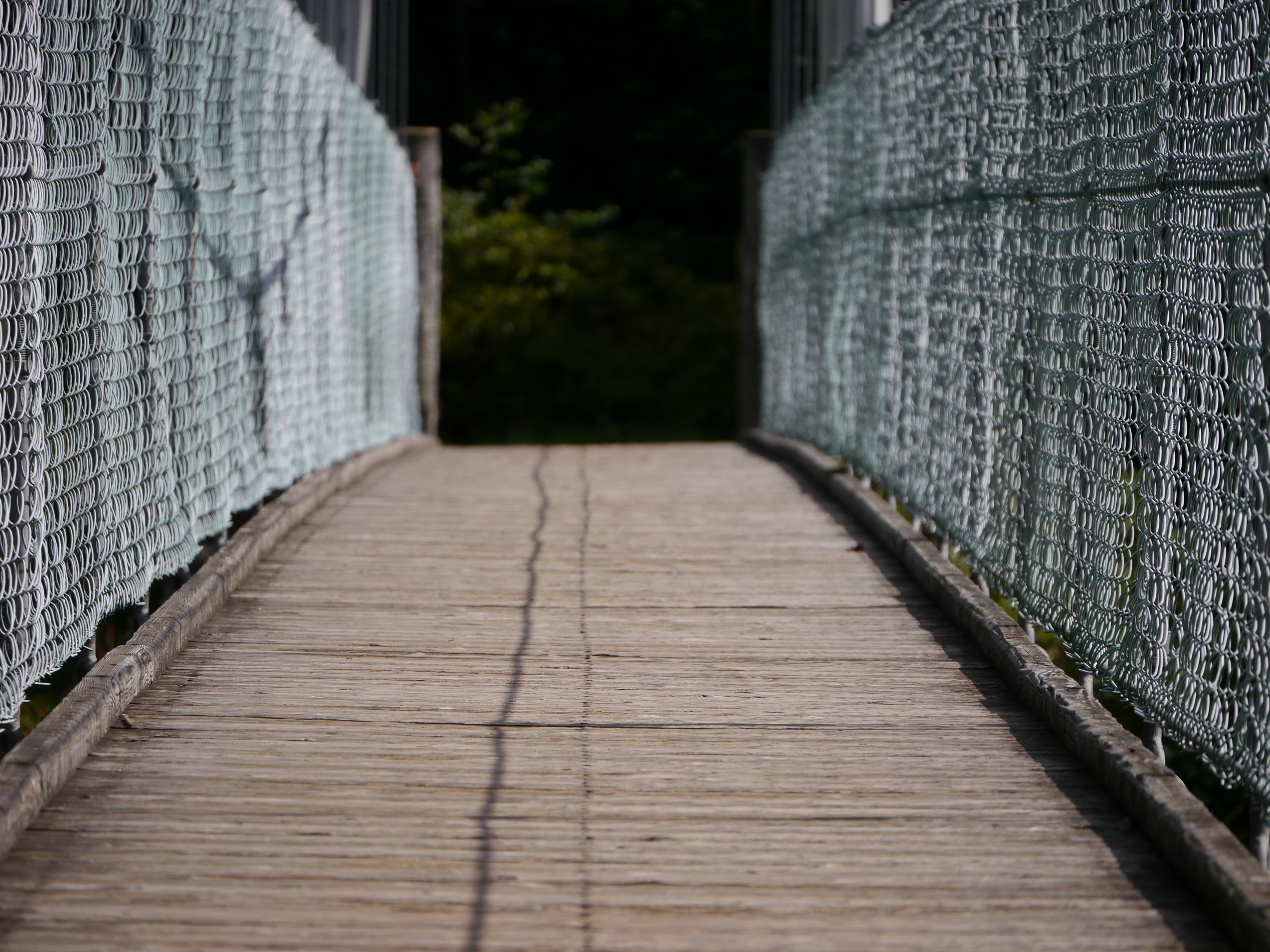 <b>DMC-G5 / LUMIX G VARIO 45-150mm F4-5.6 ASPH. MEGA O.I.S. / 約8.2MB / 4,608×3,456 / 1/1000秒 / F5.6 / -0.3EV / ISO160 / WB：オート / WB：オート / 150mm</b>