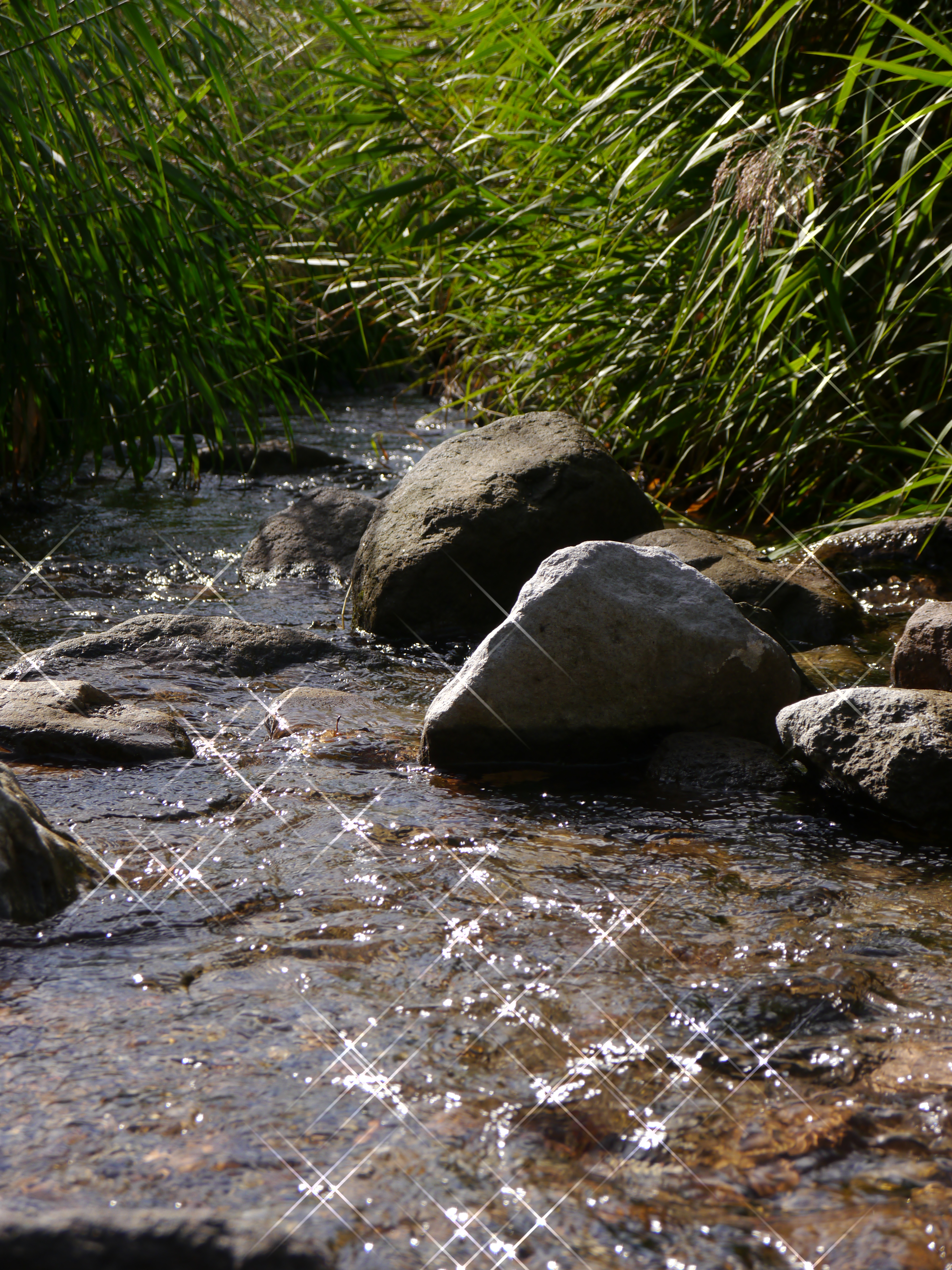 <b>DMC-G5 / LUMIX G VARIO 14-42mm F3.5-5.6 ASPH. MEGA O.I.S. / 約8.3MB / 3,456×4,608 / 1/320秒 / F8 / -0.7EV / ISO160 / クリエイティブコントロール：クロスフィルター / WB：オート / WB：オート / 42mm</b>