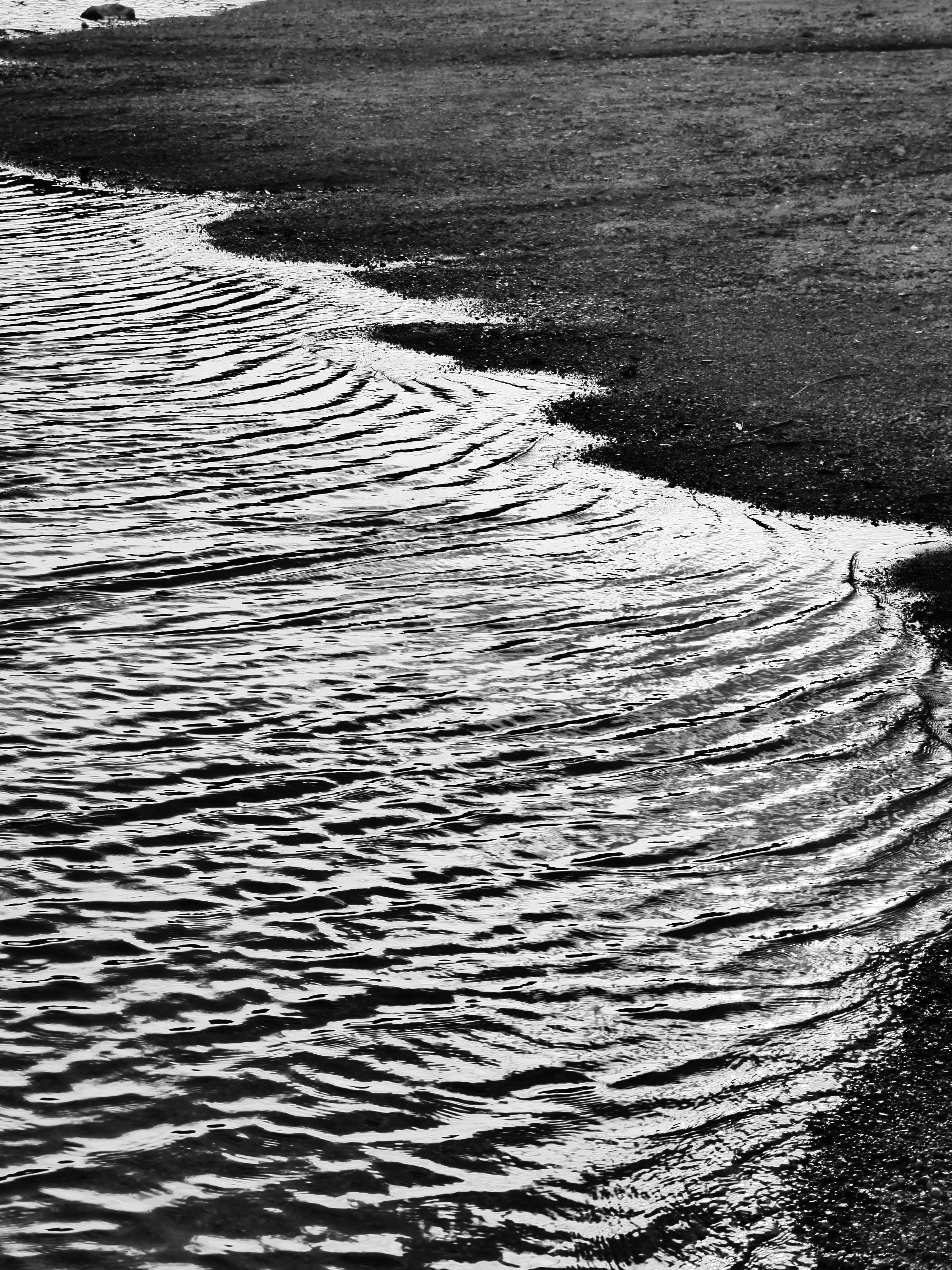 <b>DMC-G5 / LUMIX G VARIO 14-42mm F3.5-5.6 ASPH. MEGA O.I.S. / 約8.9MB / 3,456×4,608 / 1/400秒 / F10 / 0EV / ISO160 / クリエイティブコントロール：インプレッシブアート / WB：オート / WB：オート / 39mm</b>