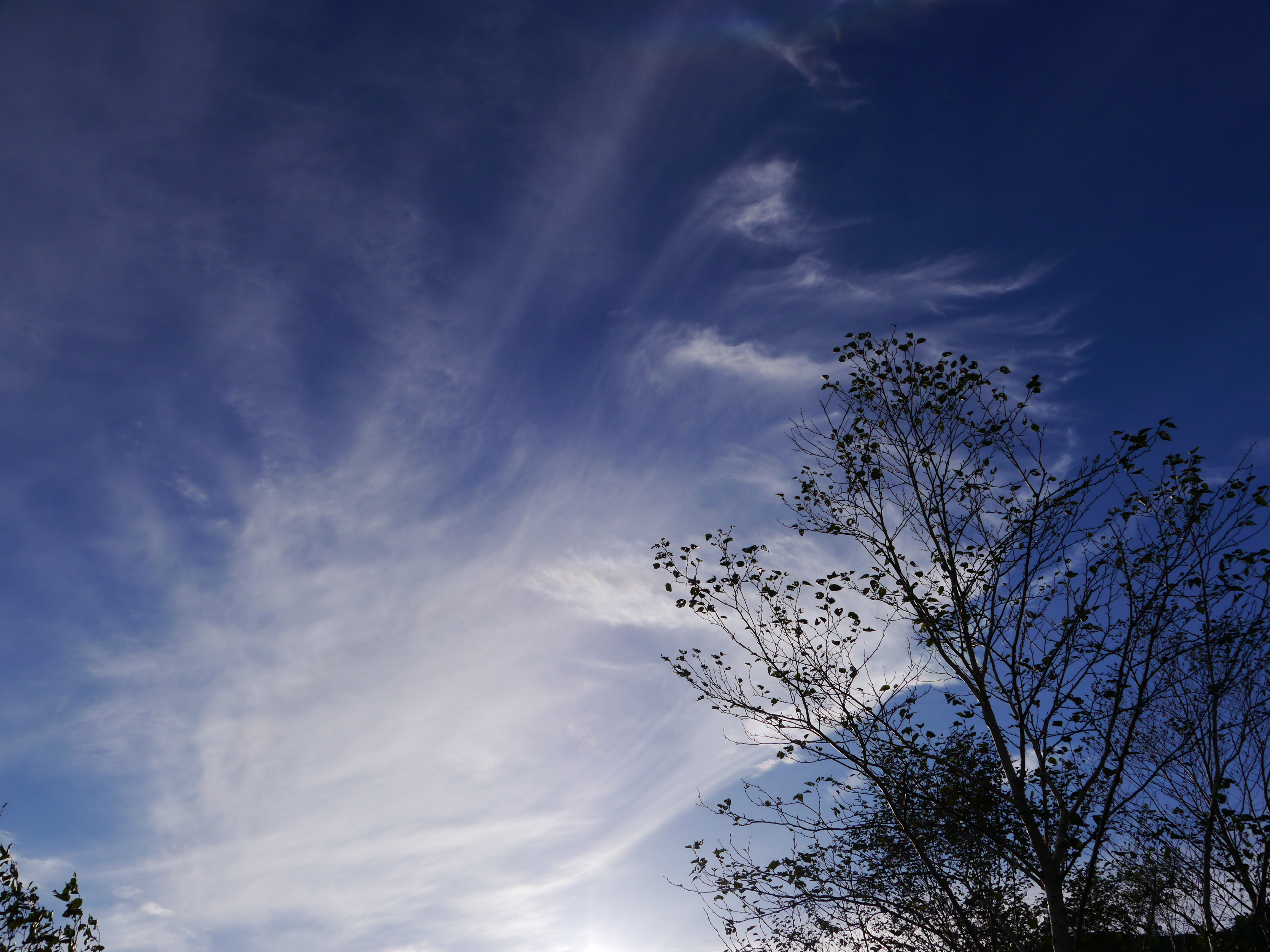 <b>DMC-G5 / LUMIX G VARIO 14-42mm F3.5-5.6 ASPH. MEGA O.I.S. / 約7.5MB / 4,608×3,456 / 1/800秒 / F10 / -0.7EV / ISO160 / WB：オート / WB：晴天 / 14mm</b>