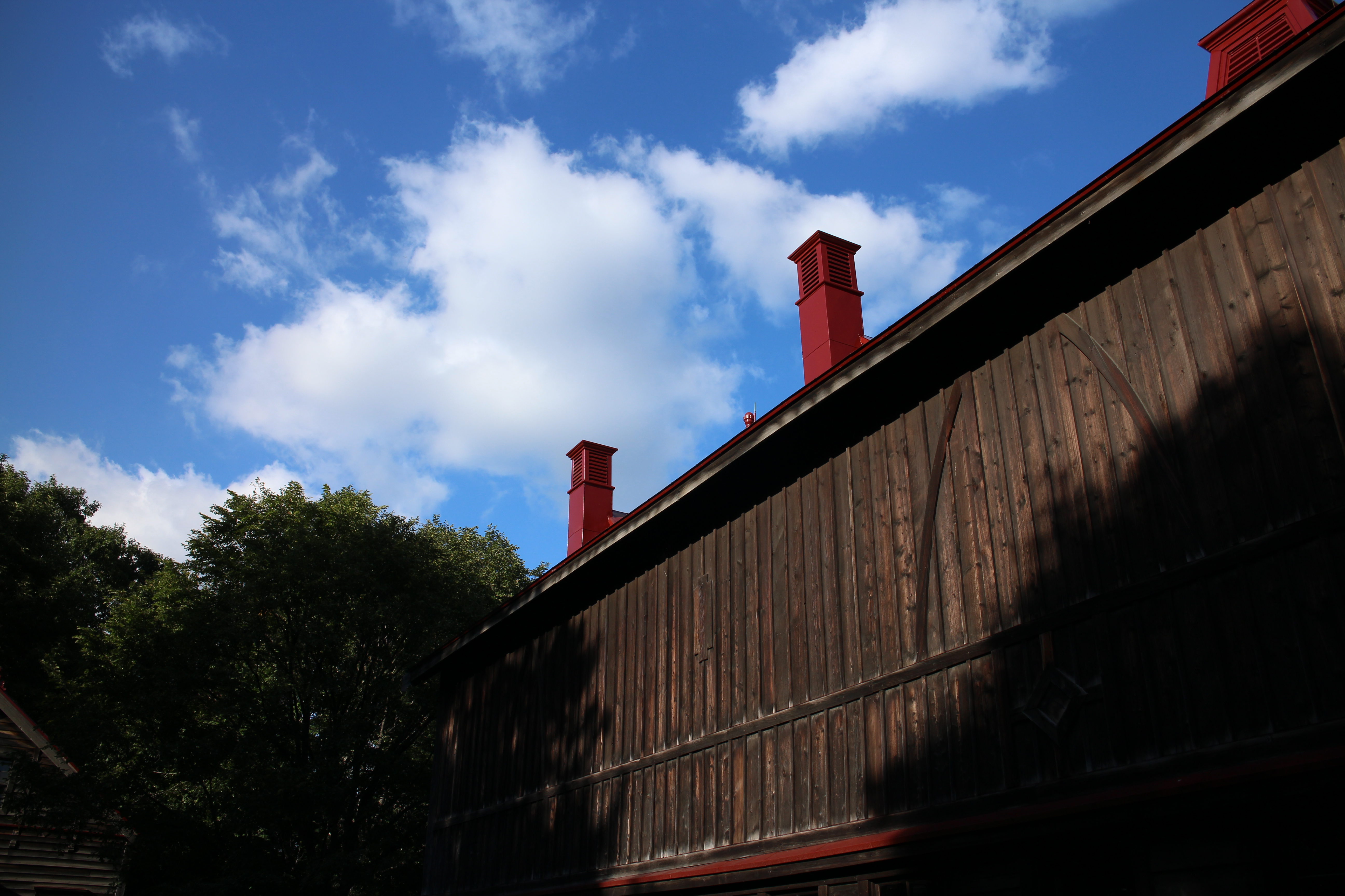 <b>ピクチャースタイルの初期設定がオートになっていて、おかげで従来よりも鮮やか目に仕上がってくれる。EOS M / EF-M 18-55mm F3.5-5.6 IS STM / 5,184×3,456 / 1/200秒 / F9 / 0.0EV / ISO100 / WB:太陽光 / 18mm（28.8mm相当）</b>