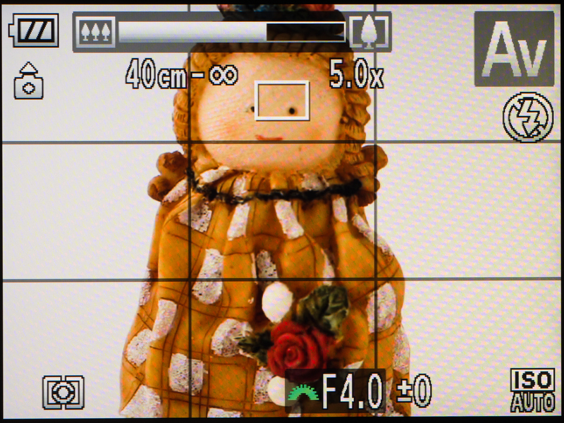 <b>光学ズームの望遠端。</b>