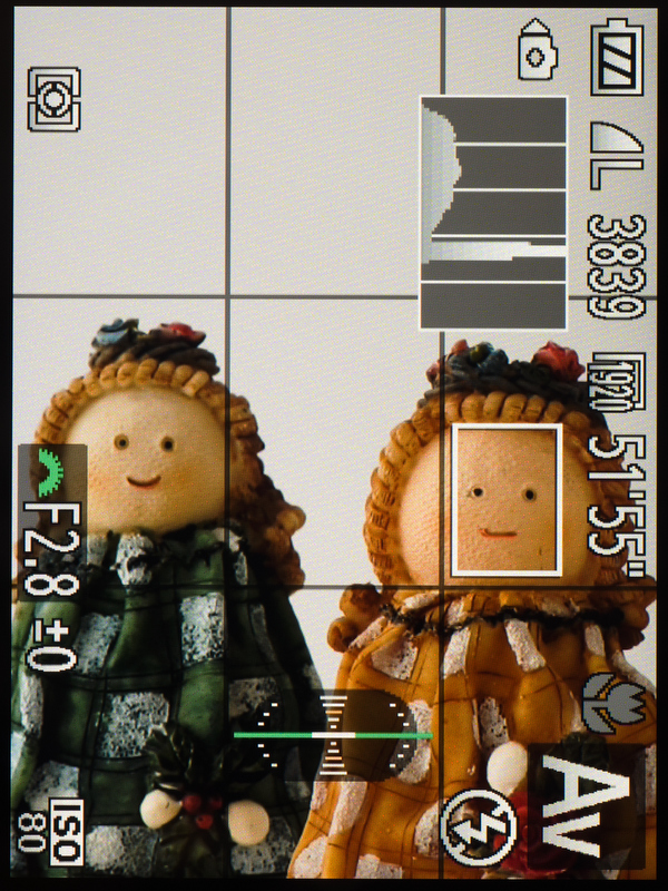 <b>グリップを下にした縦位置撮影時は画面下側に水準器が表示される。</b>