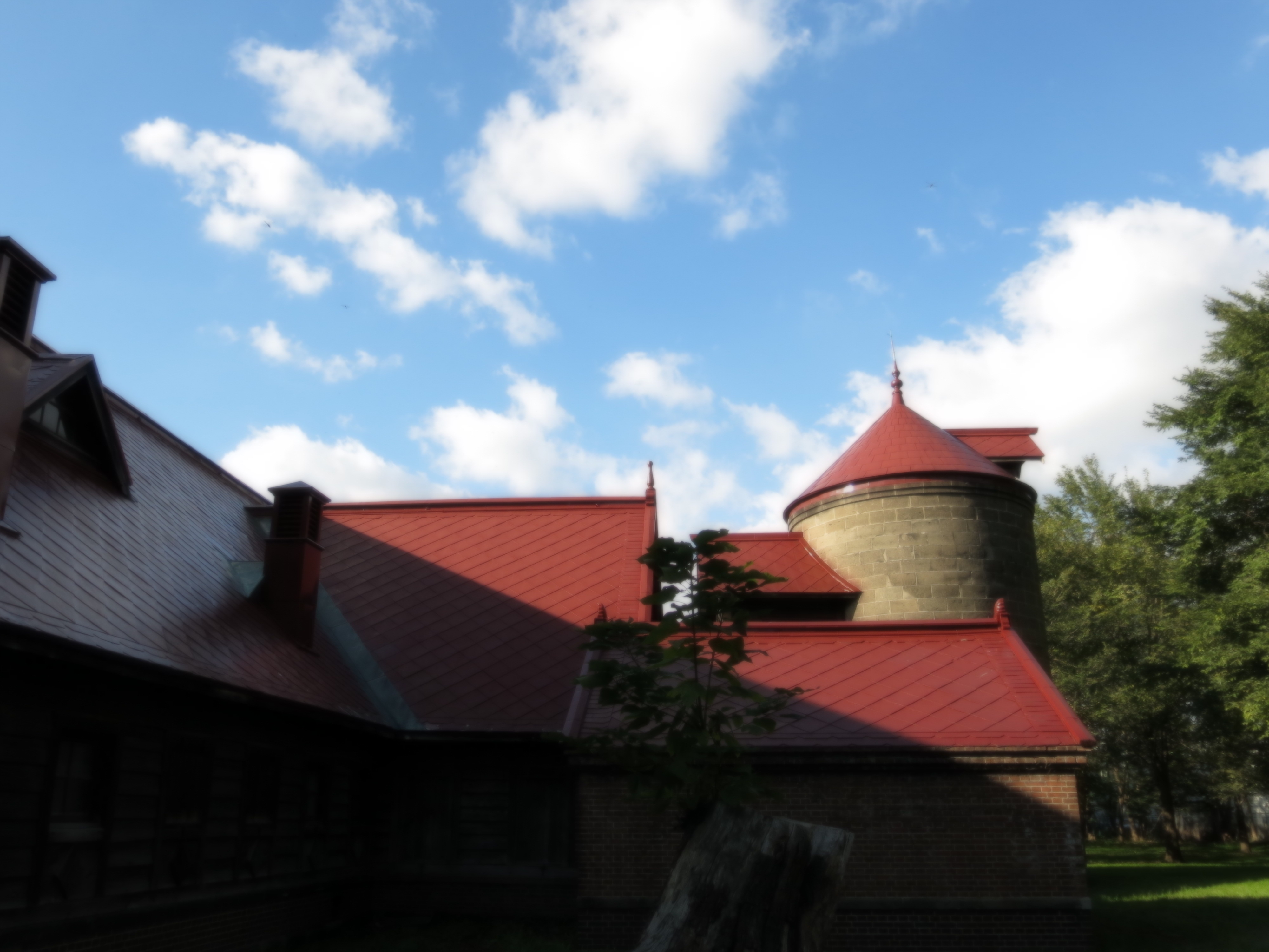 <b>ソフトフォーカス（レベル1）</b>