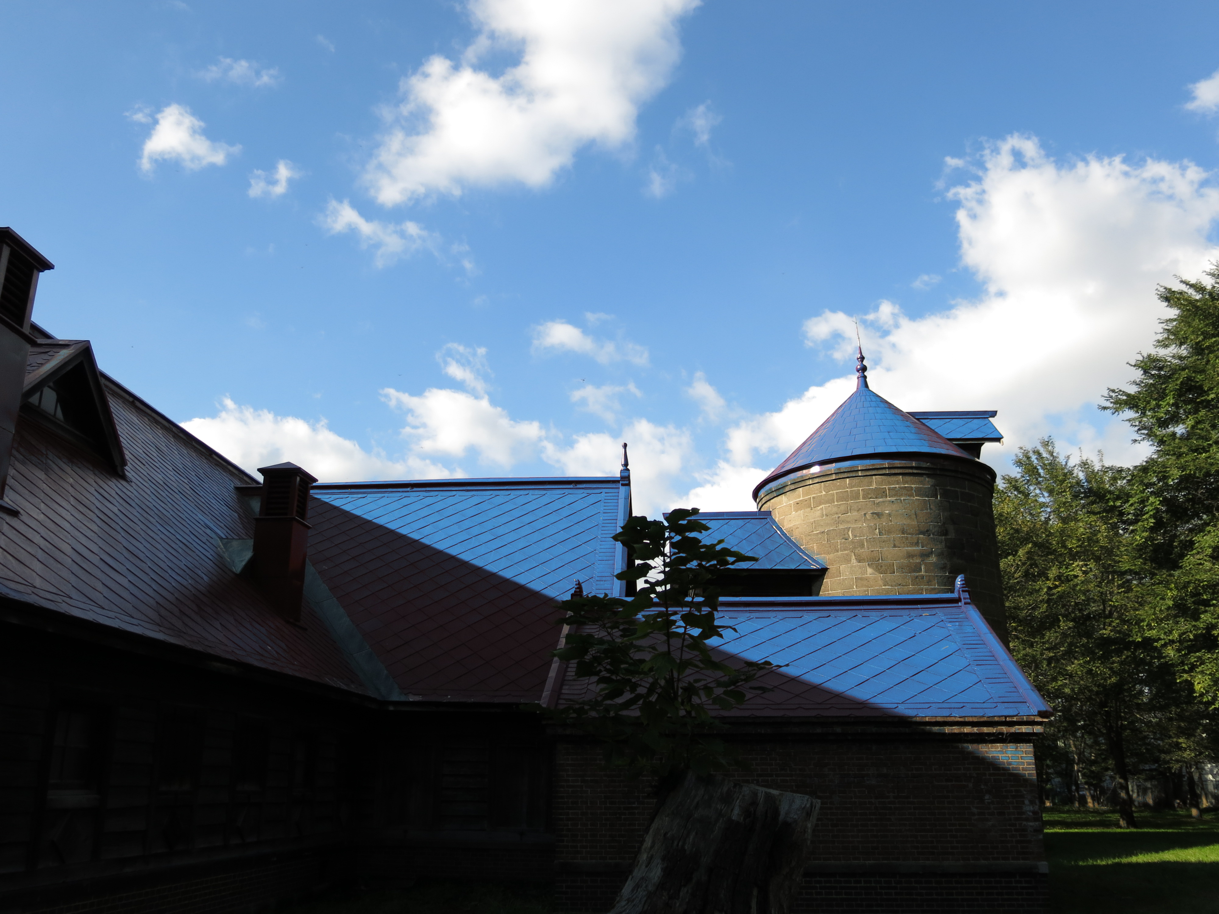 <b>スイッチカラー（赤系を青系にスイッチ）</b>