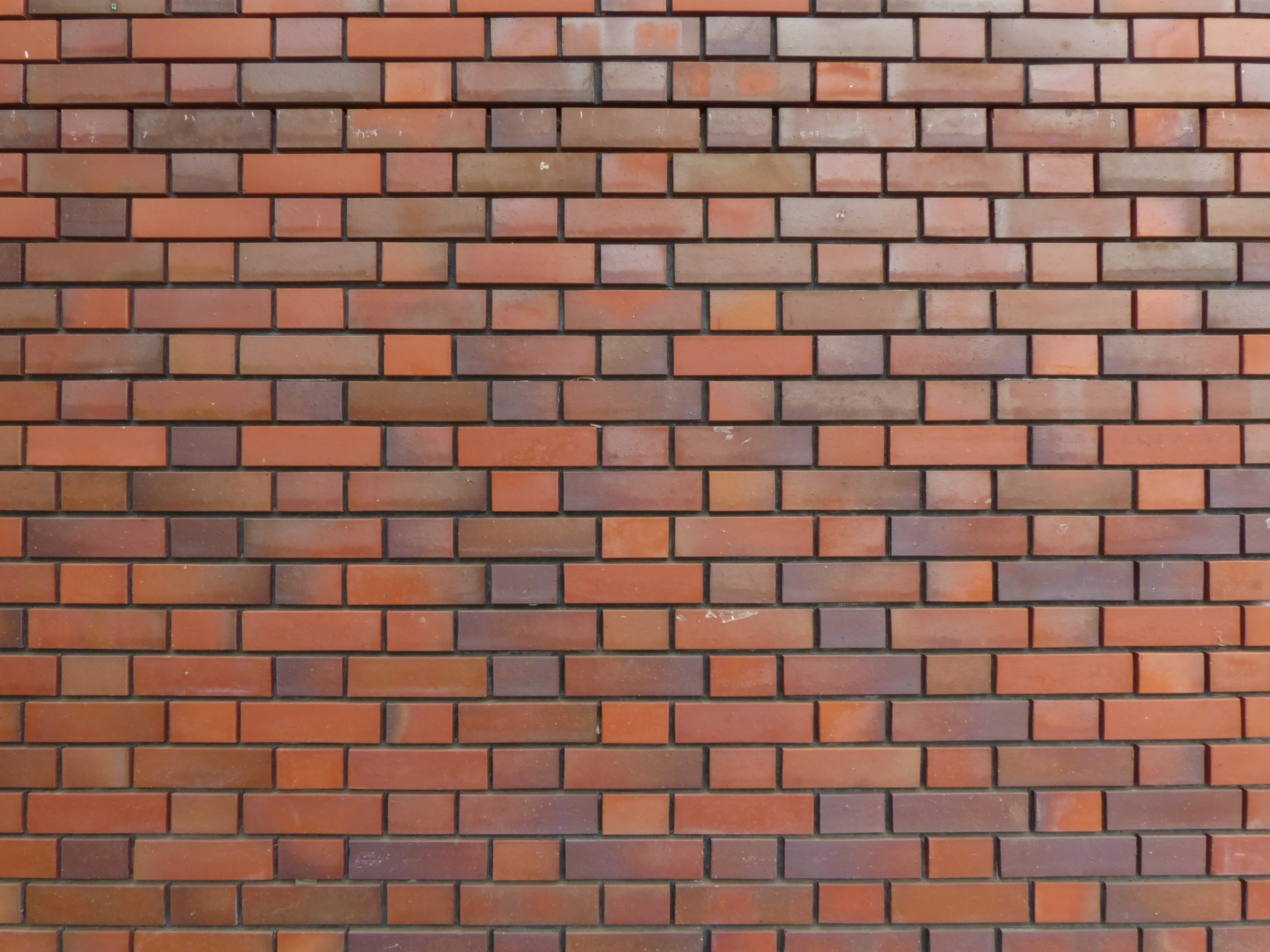 <b>広角端 / F8</b>