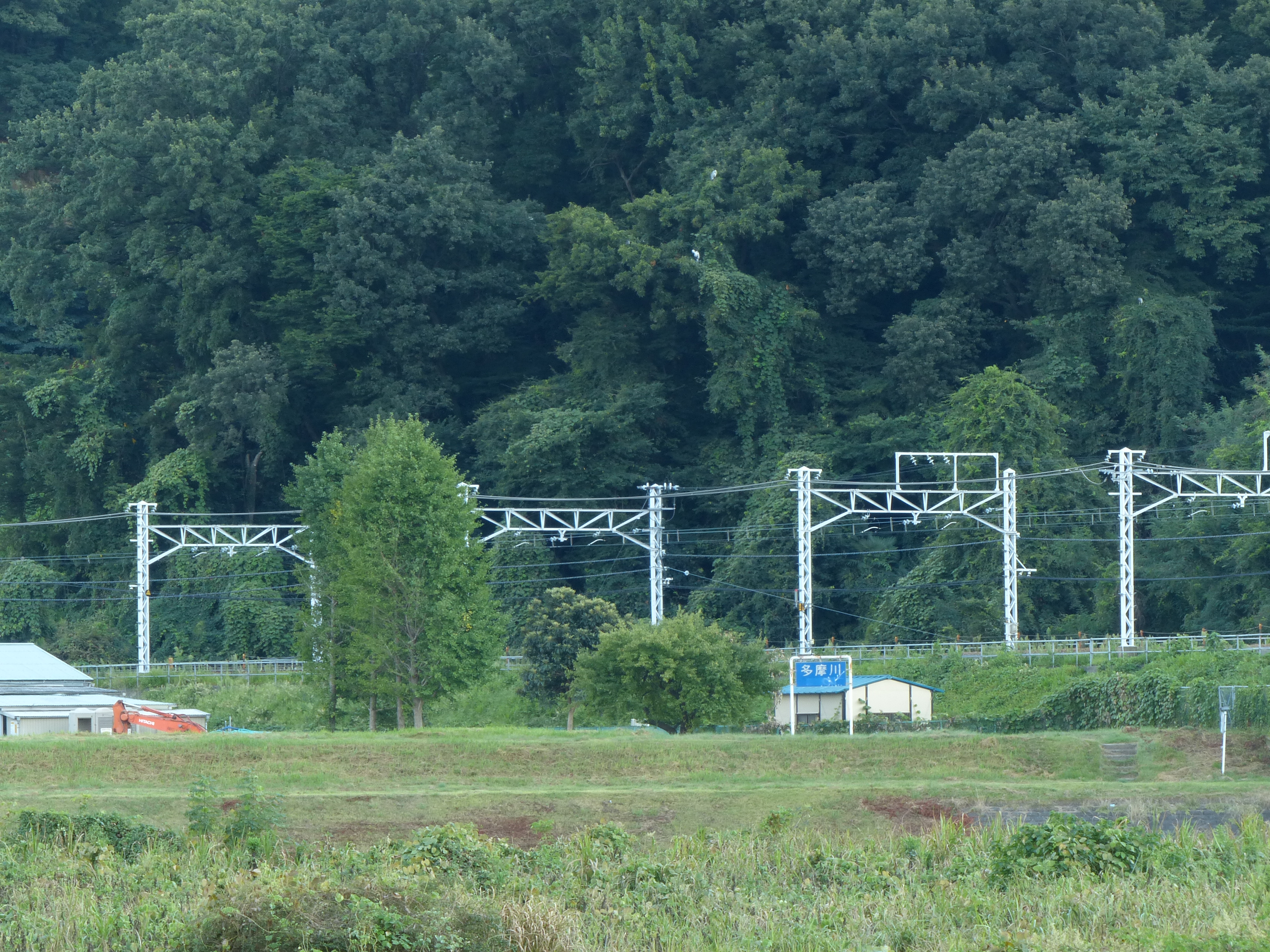 <b>中間域 / F8</b>