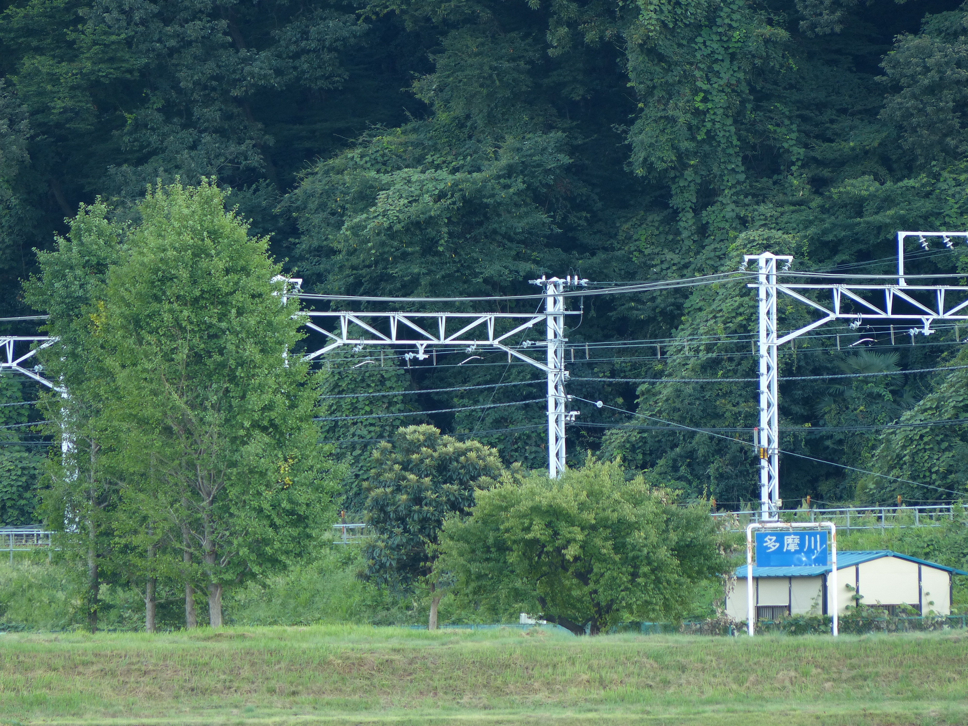 <b>望遠端 / F2.8</b>