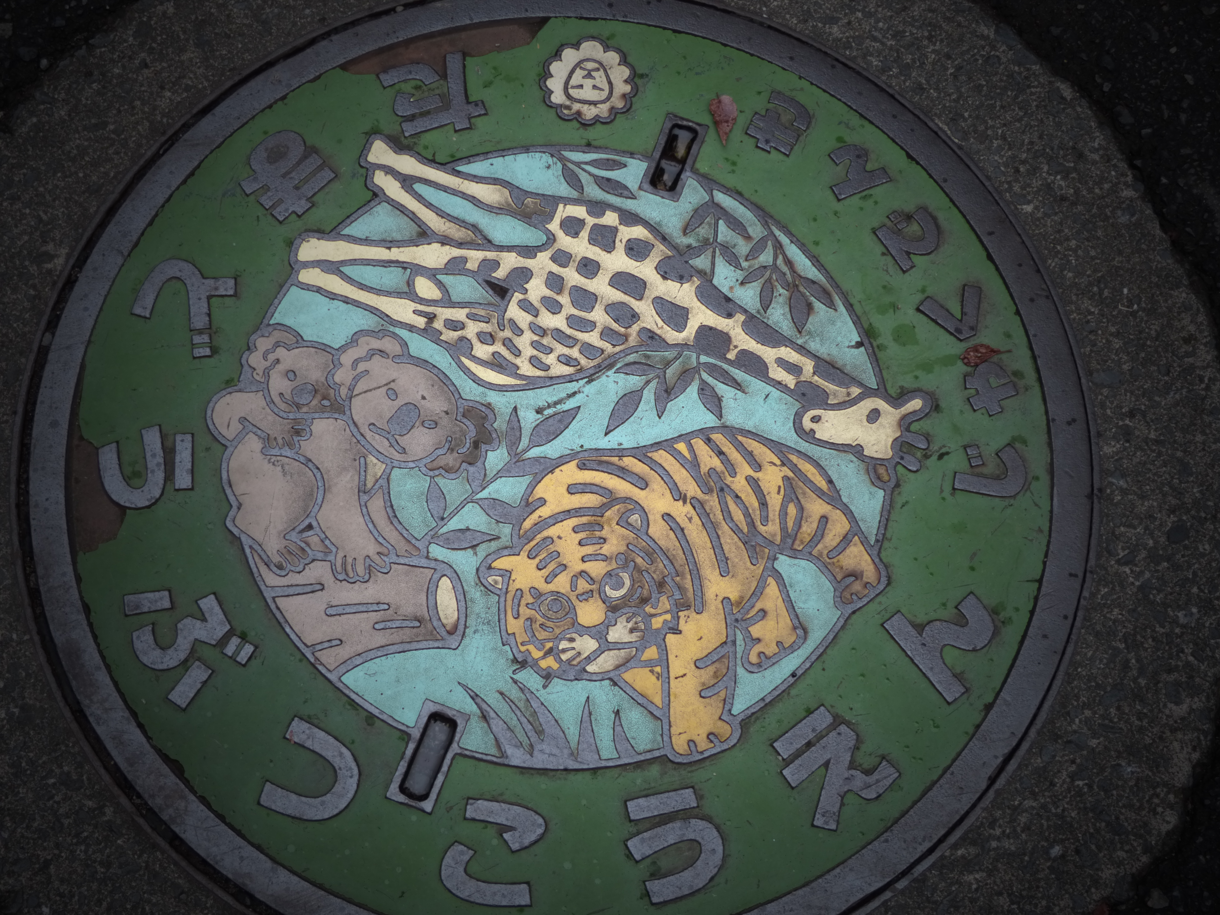 <b>トイフォト</b>