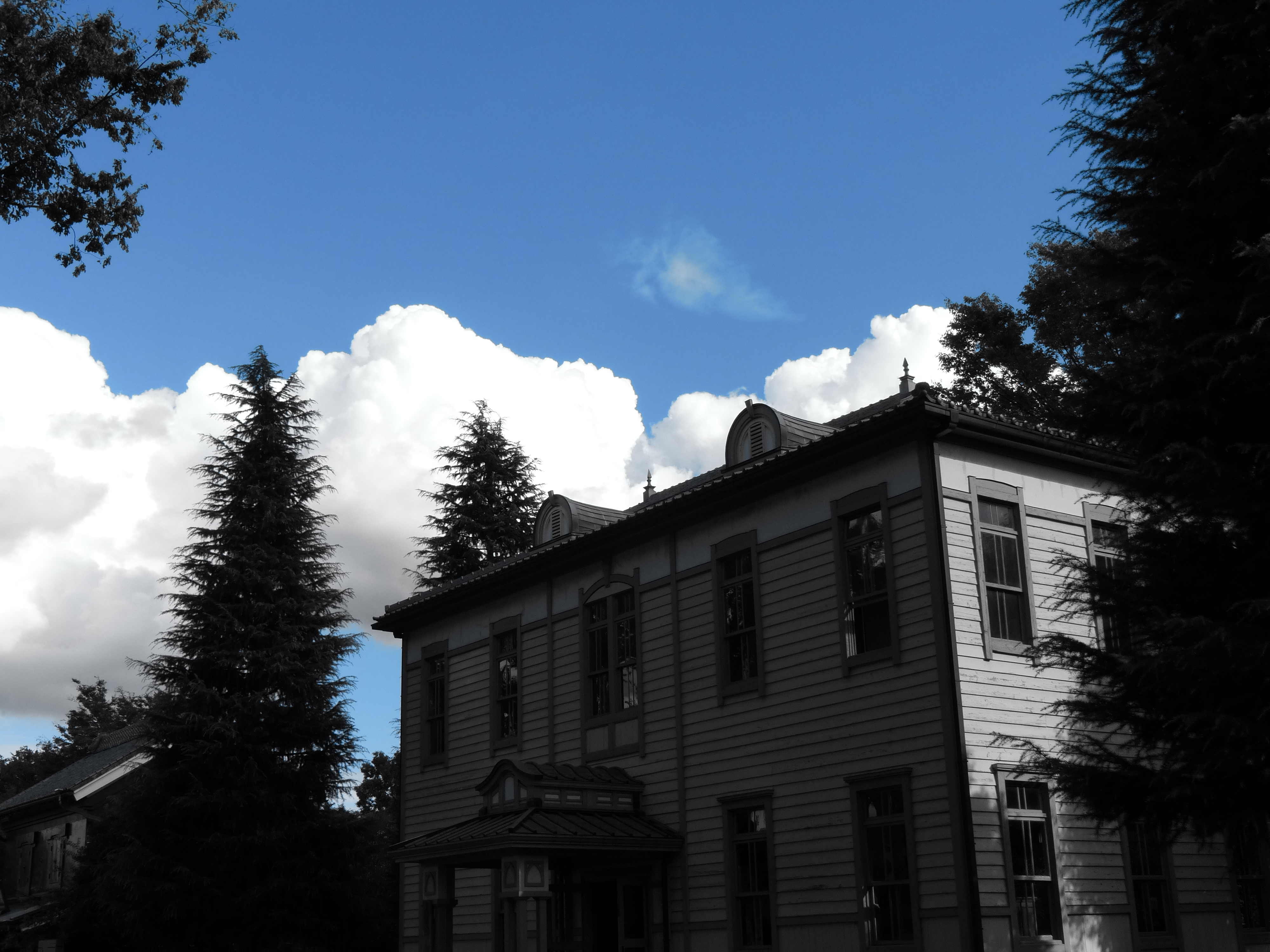 <b>ワンポイントカラー</b>