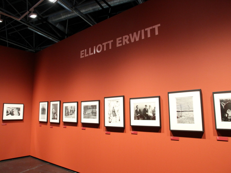 <b>作家ごとにコーナーを設けており、広々とした会場内をゆったり回ることができた</b>