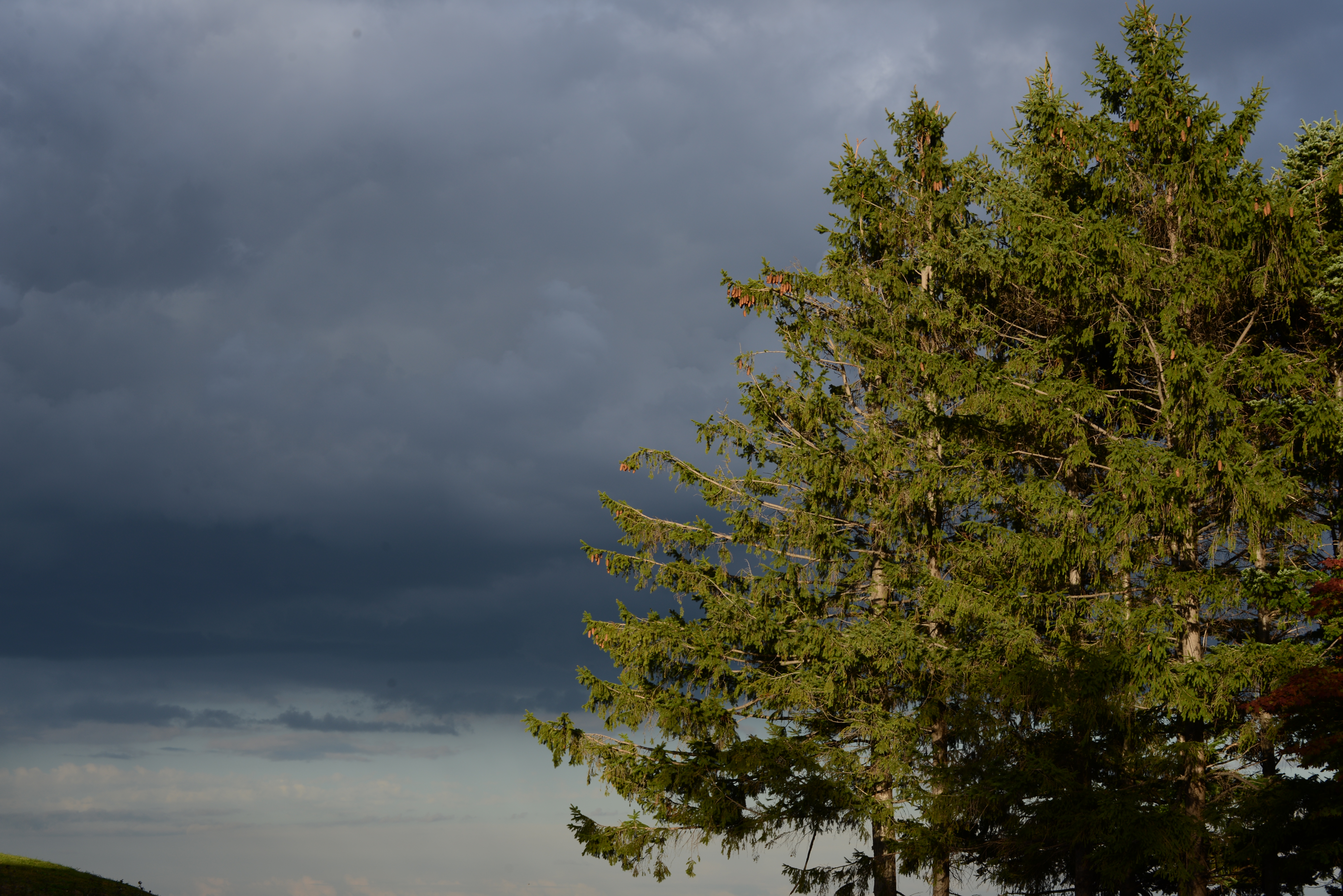 <b>調子に乗って<a href="http://dc.watch.impress.co.jp/backno/dslr/1510.html#sc_815"><u>キヤノンEOS Mも買っちゃった</u></a>ものだから、レンズに割ける予算がない。のだけれど、なんとかしなきゃなぁ。D600 / AF-S VR Zoom Nikkor ED 70-300mm F4.5-5.6 G（IF） / 6,016×4,016 / 1/100秒 / F11 / -1.0EV / ISO100 / WB:晴天 / 70mm</b>