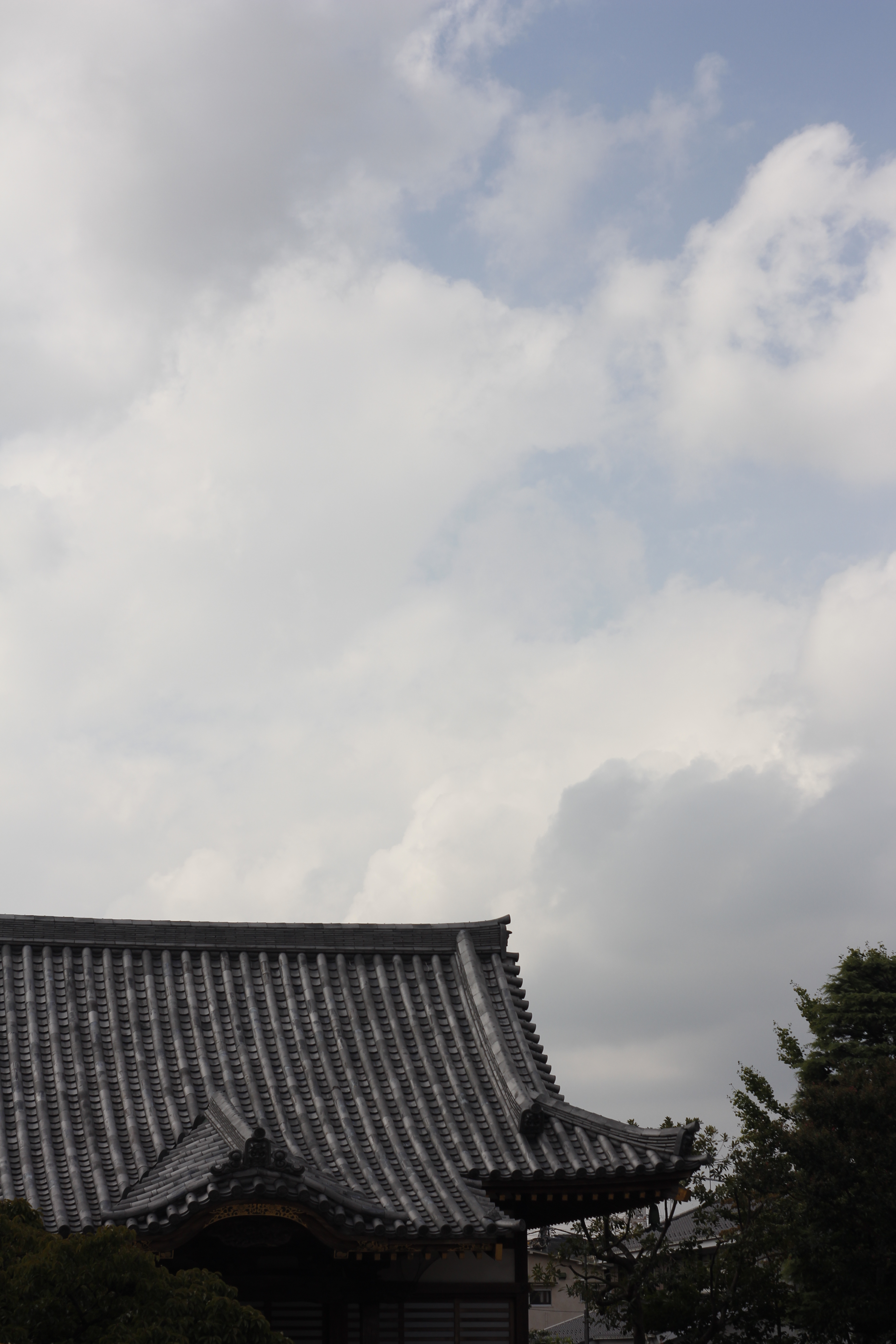 <b>EOS M / Color-Skopar X 50mm F2.8 / 3,456×5,184 / 1/640秒 / F8 / +1.33EV / ISO100 / WB:オート / 50mm</b>