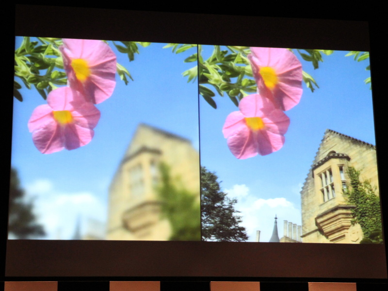 <b>通常撮影（左）と全焦点マクロ（右）の撮影例</b>