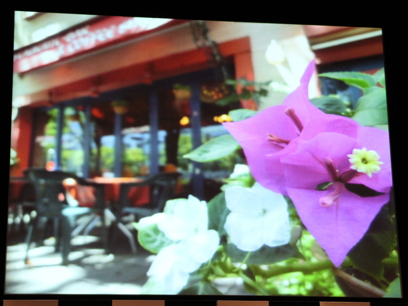 <b>背景ぼかしの撮影例</b>