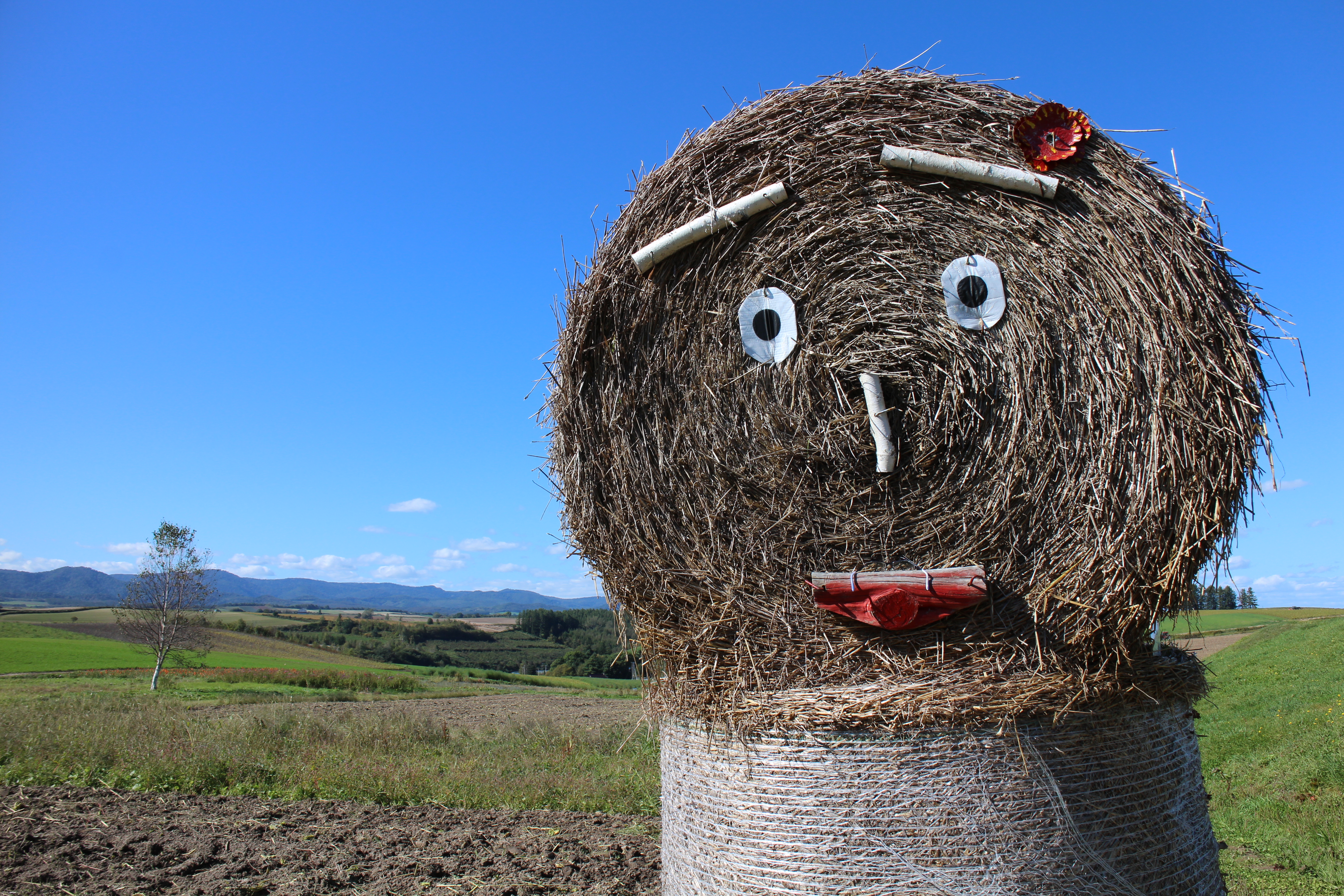 <b>EOS M / EF-M 18-55mm F3.5-5.6 IS STM / 約9.9MB / 5,184×3,456 / 1/200秒 / F9 / 0EV / ISO100 / 18mm</b>