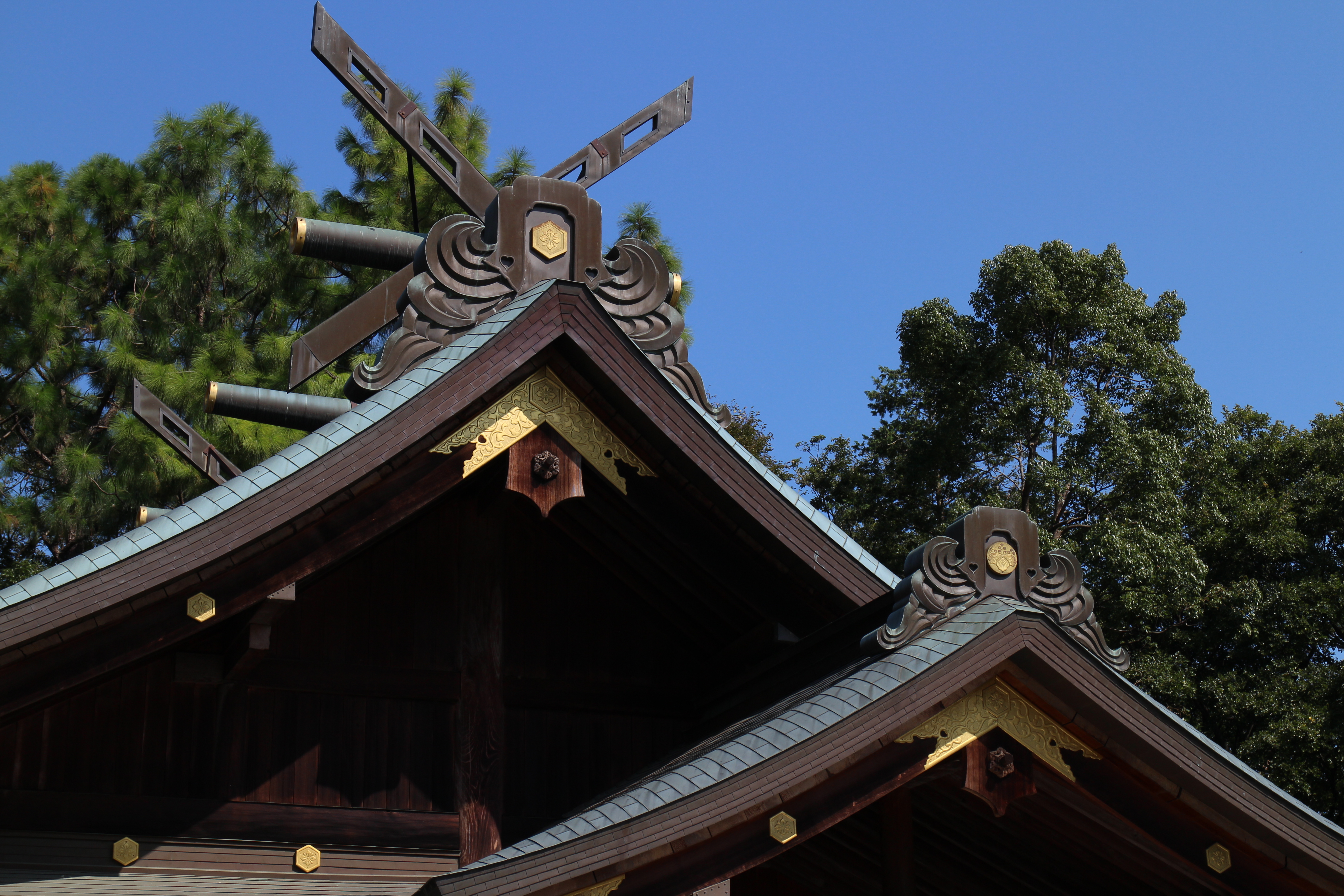 <b>EOS M / EF-M 18-55mm F3.5-5.6 IS STM / 約6.3MB / 5,184×3,456 / 1/250秒 / F10 / -0.7EV / ISO100 / 41mm</b>