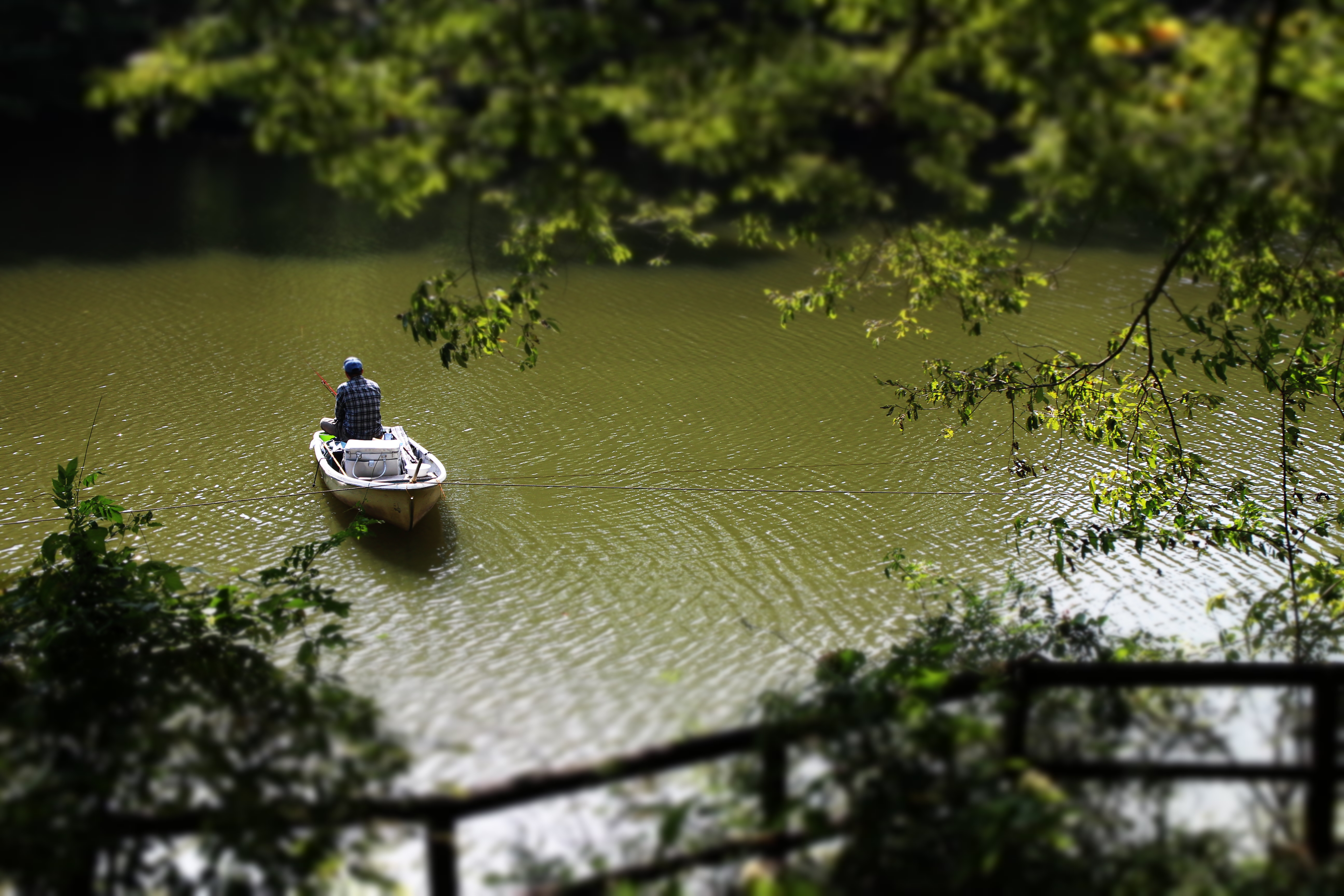 <b>クリエイティブフィルター：ジオラマ風 / EOS M / EF-M 18-55mm F3.5-5.6 IS STM / 約4.6MB / 5,184×3,456 / 1/125秒 / F7 / 0EV / ISO100 / 29mm</b>