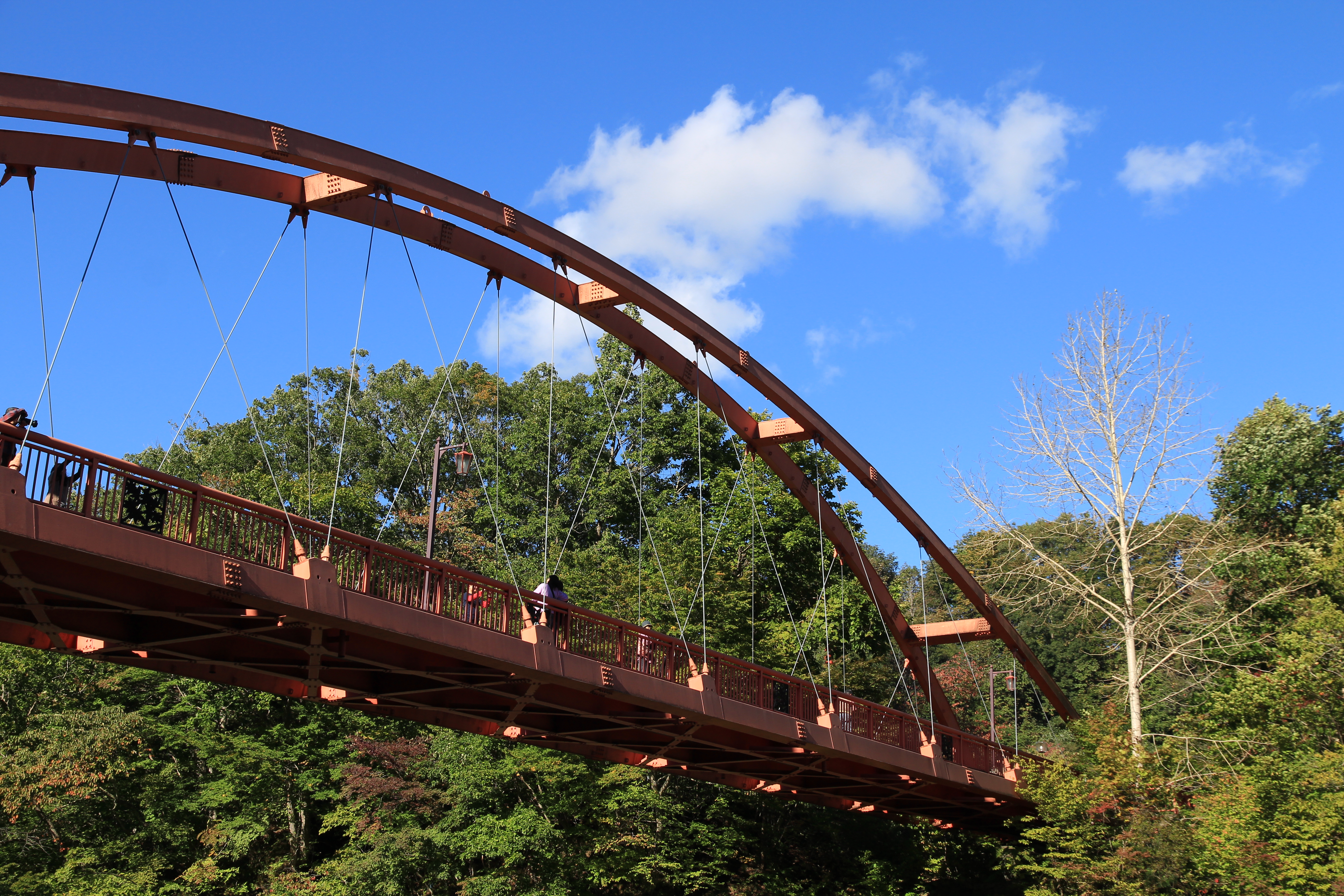 <b>ピクチャースタイル：風景 / EOS M / EF-M 18-55mm F3.5-5.6 IS STM / 約9MB / 5,184×3,456 / 1/250秒 / F8 / -0.3EV / ISO100 / 32mm</b>