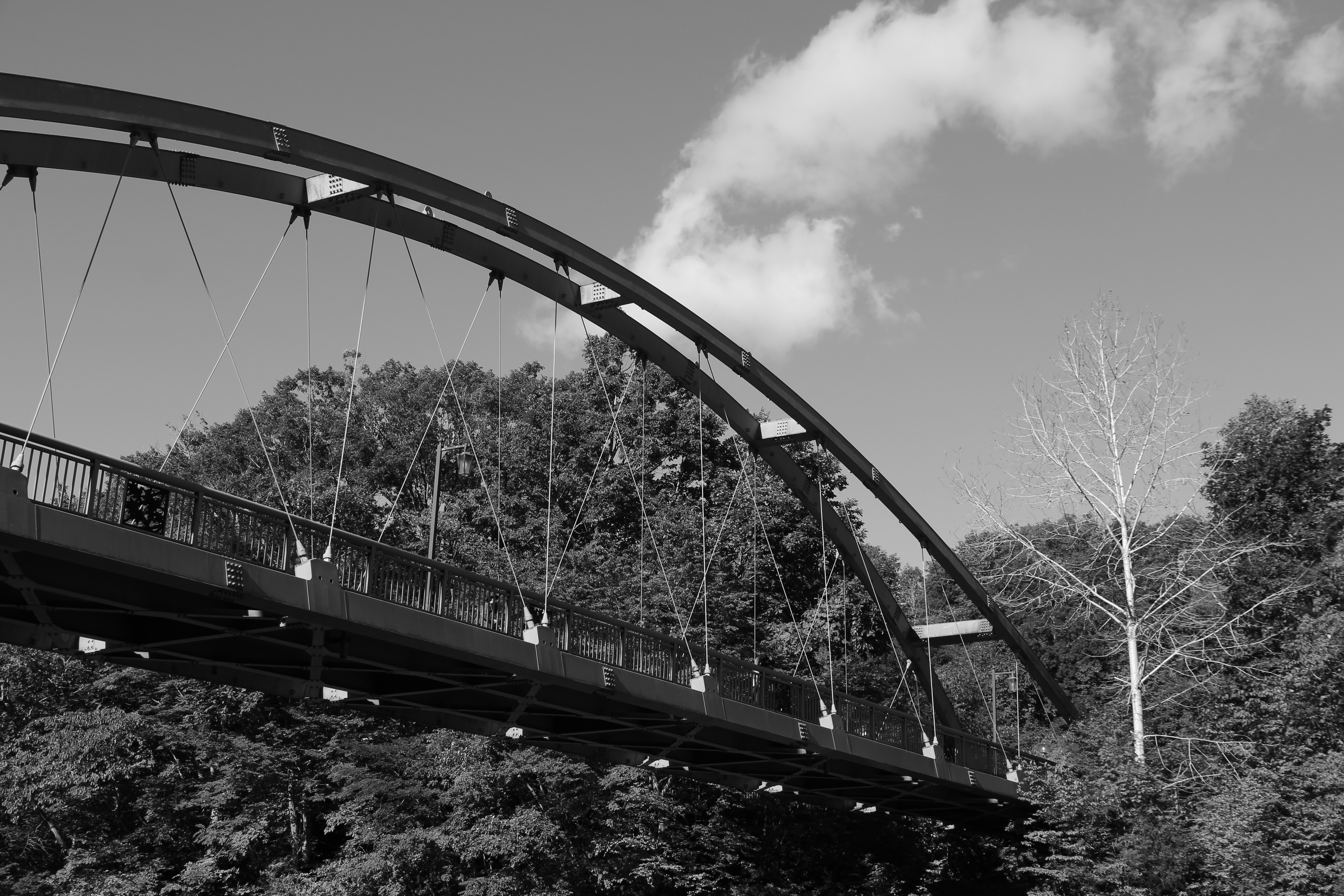 <b>ピクチャースタイル：モノクロ / EOS M / EF-M 18-55mm F3.5-5.6 IS STM / 約6.3MB / 5,184×3,456 / 1/250秒 / F8 / -0.3EV / ISO100 / 32mm</b>