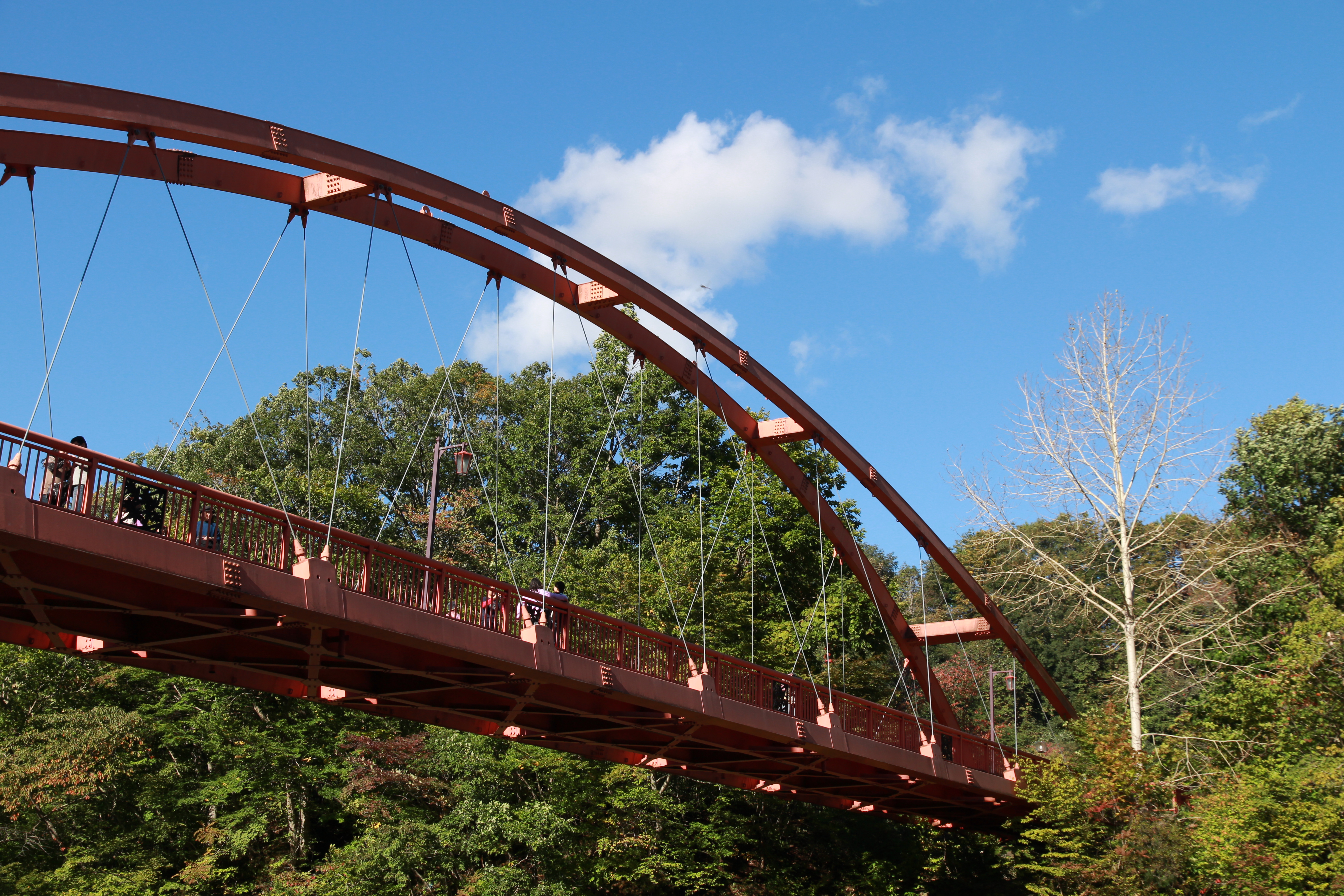 <b>ピクチャースタイル：ポートレート / EOS M / EF-M 18-55mm F3.5-5.6 IS STM / 約8MB / 5,184×3,456 / 1/250秒 / F8 / -0.3EV / ISO100 / 32mm</b>