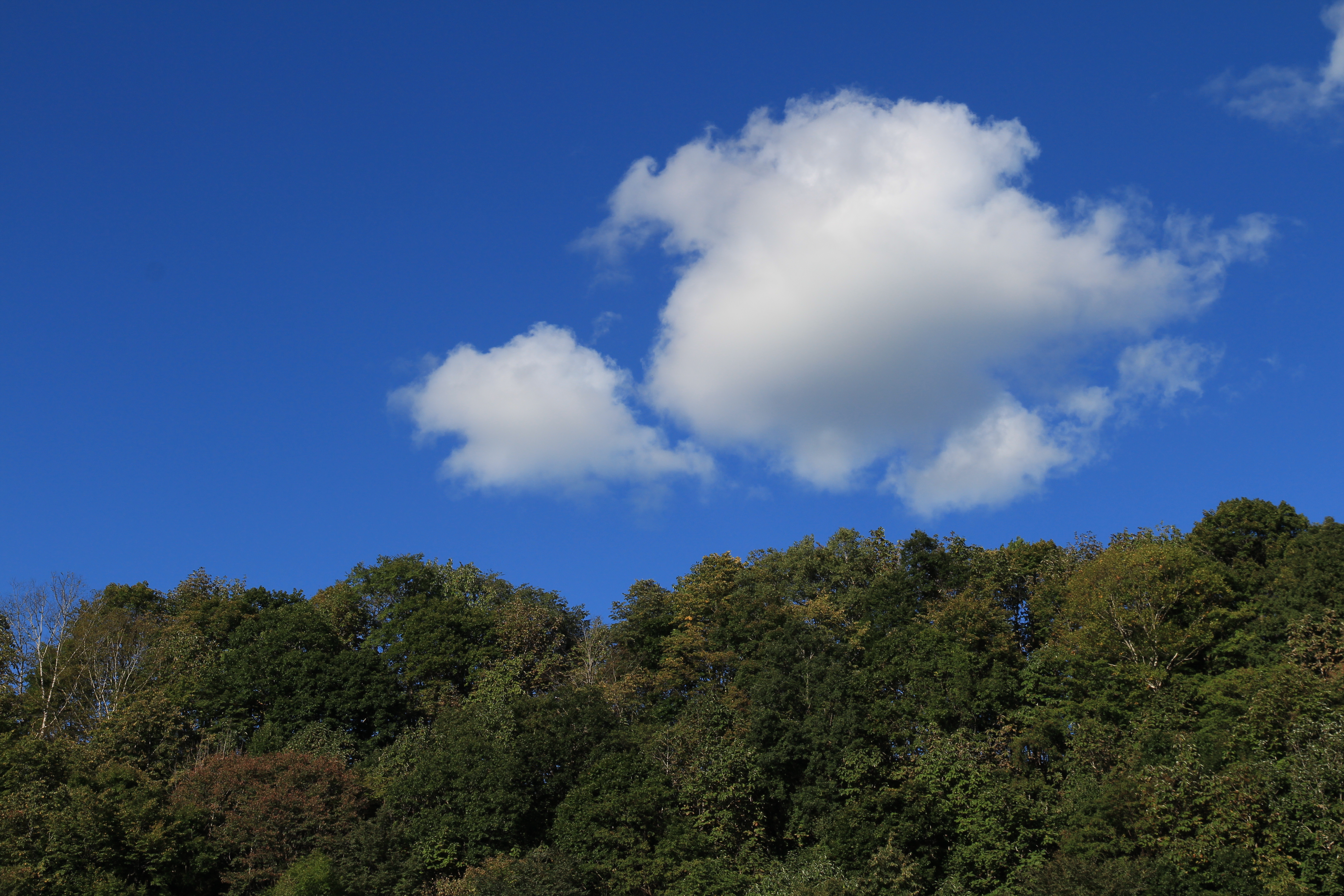 <b>EOS M / EF-S 15-85mm F3.5-5.6 IS USM / 約7MB / 5,184×3,456 / 1/200秒 / F11 / -0.7EV / ISO100 / 35mm</b>