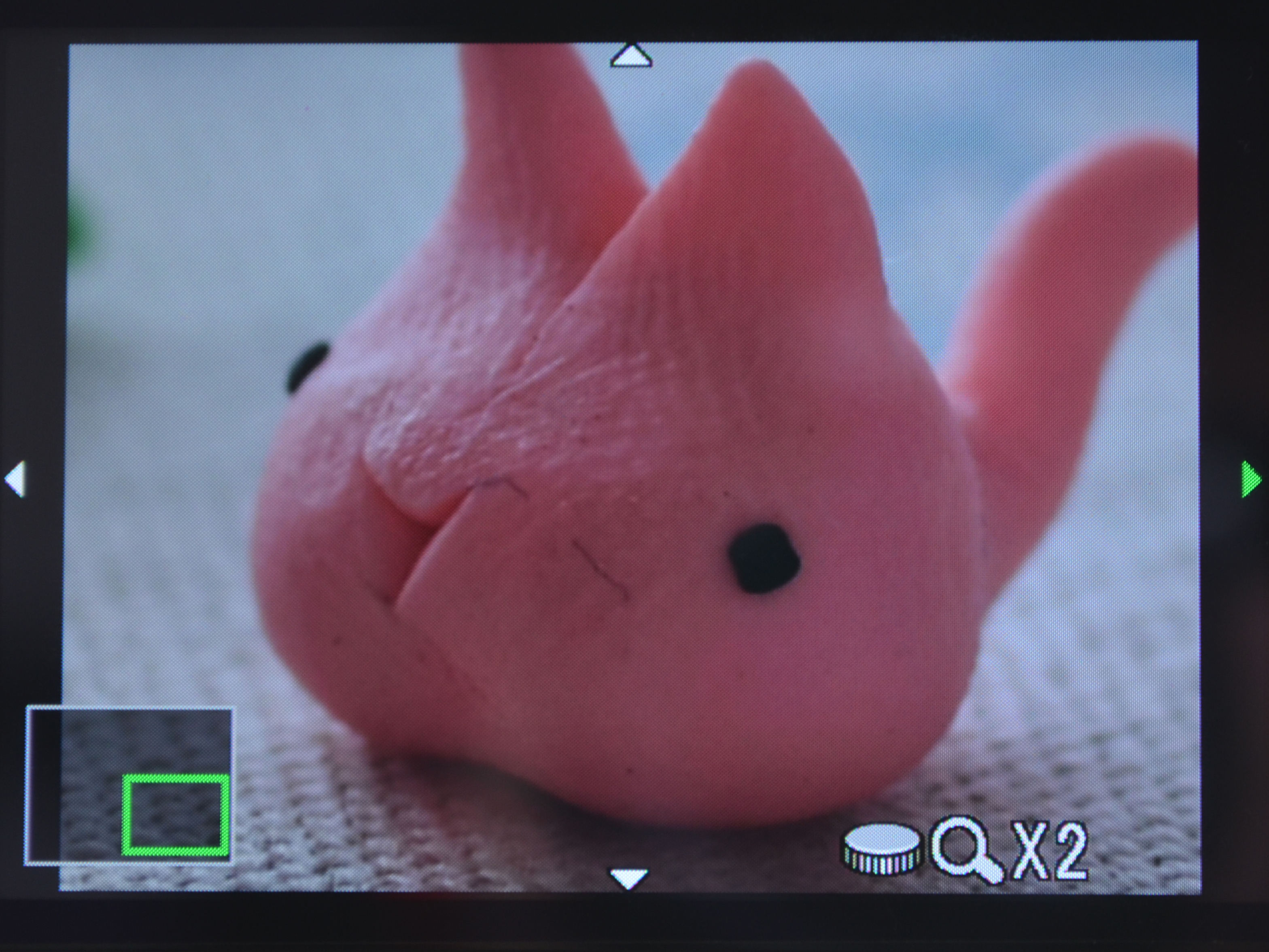 <b>2倍表示でピント付近の確認をする、と言う順の撮影がやりやすいです</b>