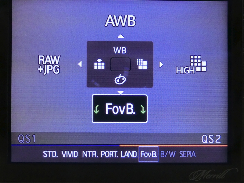 <b>DP1 Merrillでクイックセットメニューから呼び出したところ</b>