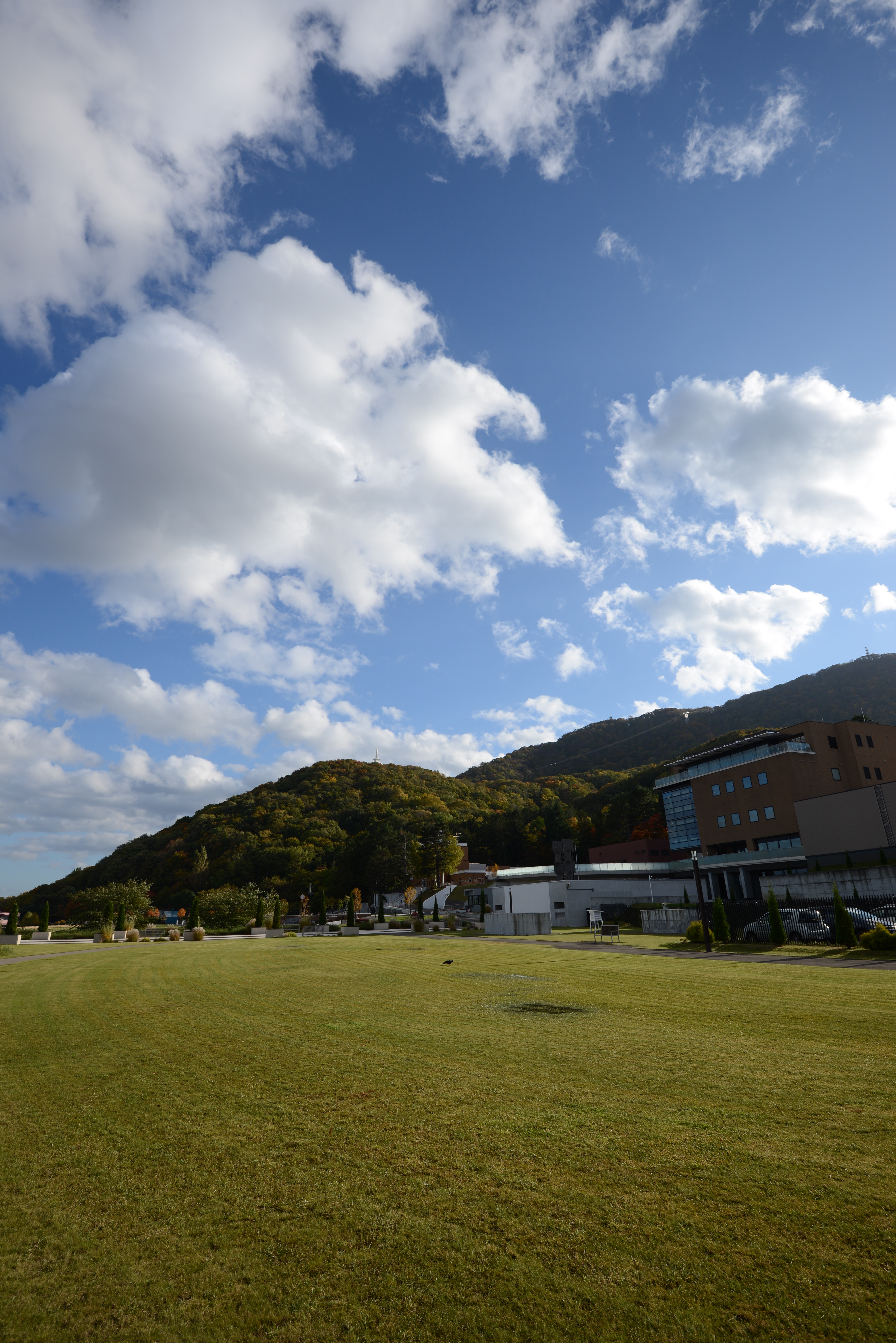 <b>寝転がりたくなる芝生の広場に秋の空。風も心地いい。D600 / AF-S NIKKOR 16-35mm F4 G ED VR / 6,016×4,016 / 絞り優先AE / 1/320秒 / F8 / 0EV / ISO100 / WB:晴天 / 16mm</b>