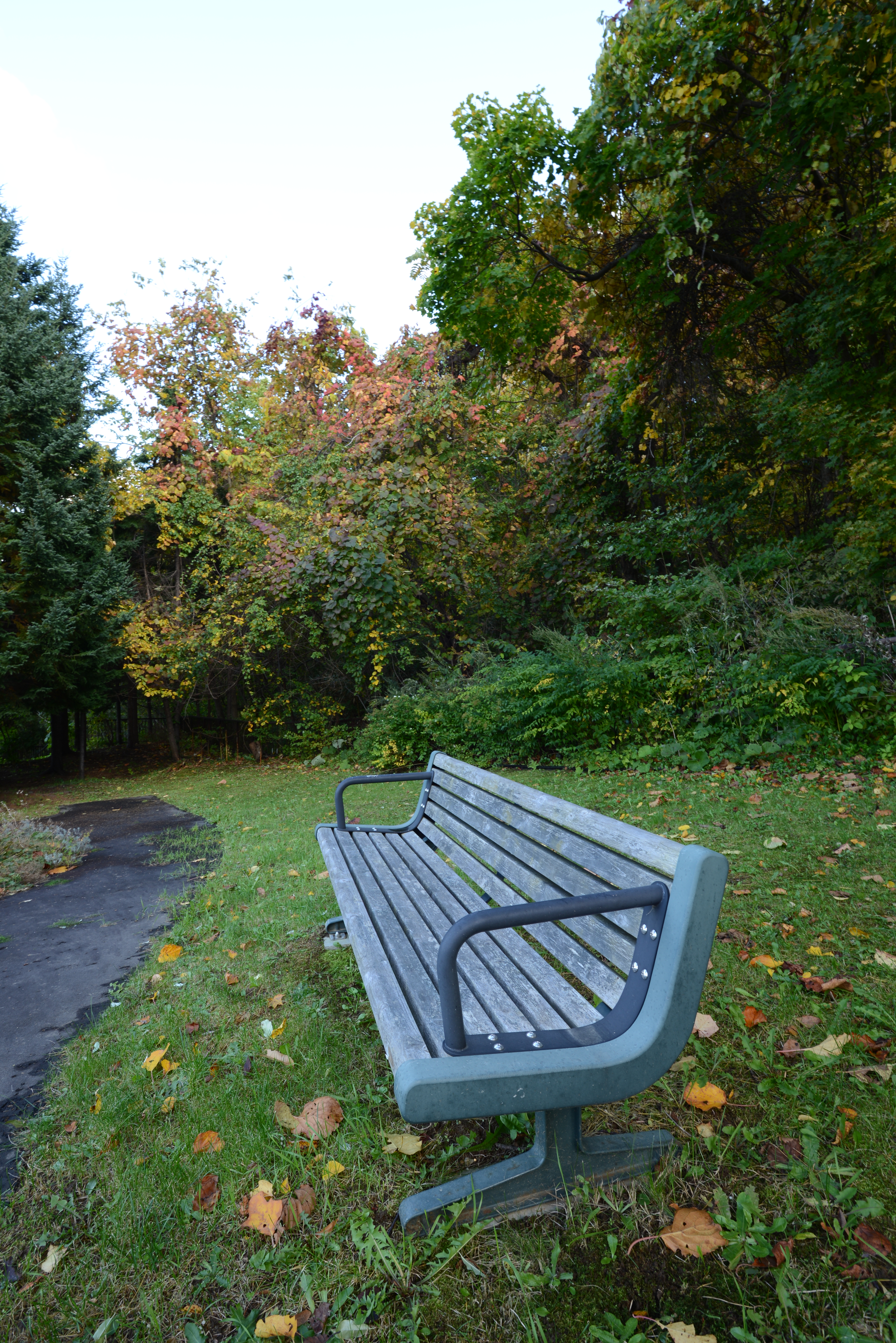 <b>日陰なのに絞ったままだったのでシャッター速度は1/8秒。でも、手ブレ補正のおかげでブレずにすんだ。D600 / AF-S NIKKOR 16-35mm F4 G ED VR / 6,016×4,016 / 絞り優先AE / 1/8秒 / F10 / 0EV / ISO100 / WB:晴天 / 16mm</b>