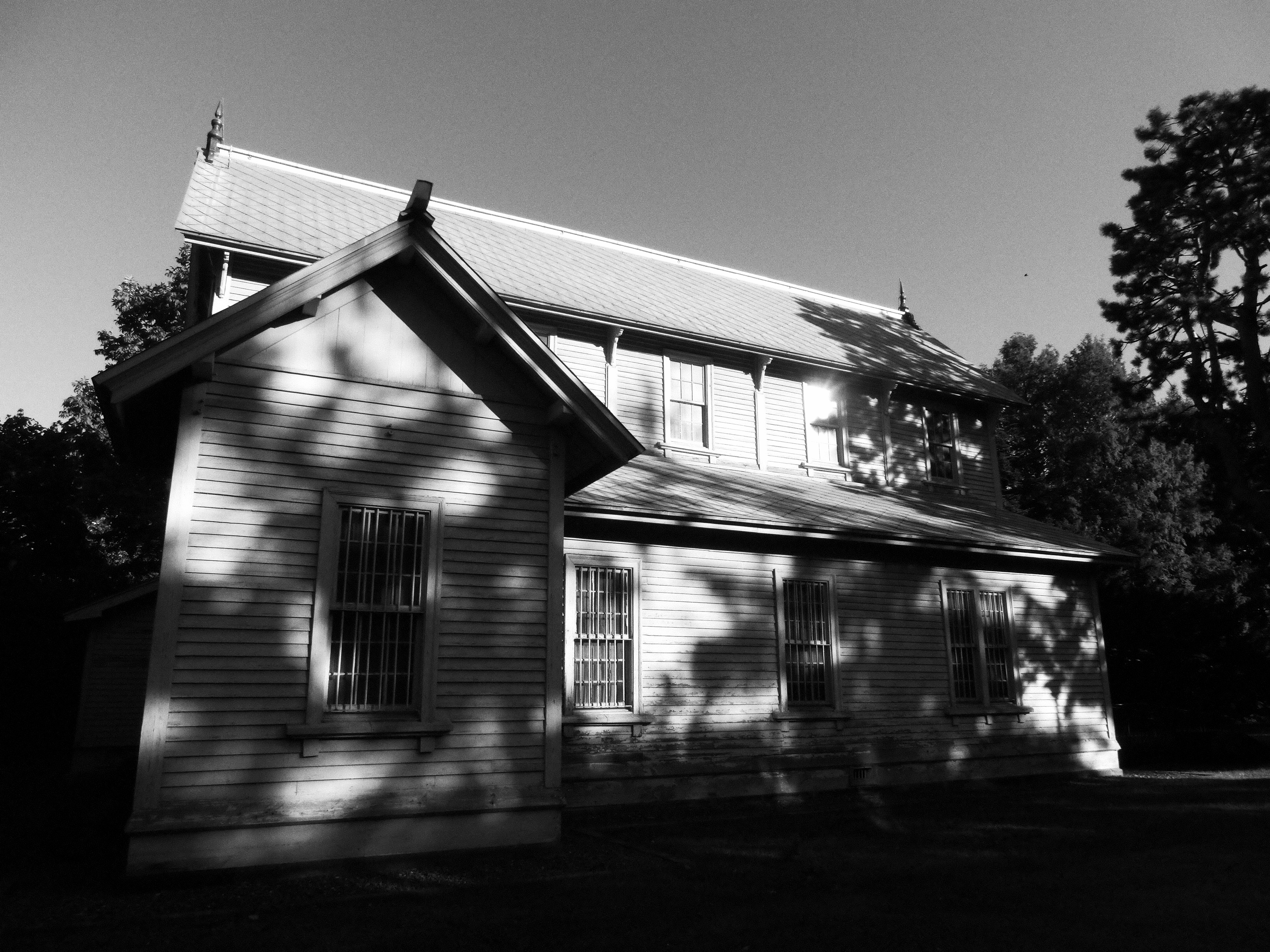 <b>モノクロ：レベル1 / EX-ZR1000 / 4,608×3,456 / 1/800秒 / F3 / 0.3EV / ISO80 / WB：オート / 4.24mm（24mm相当）</b>