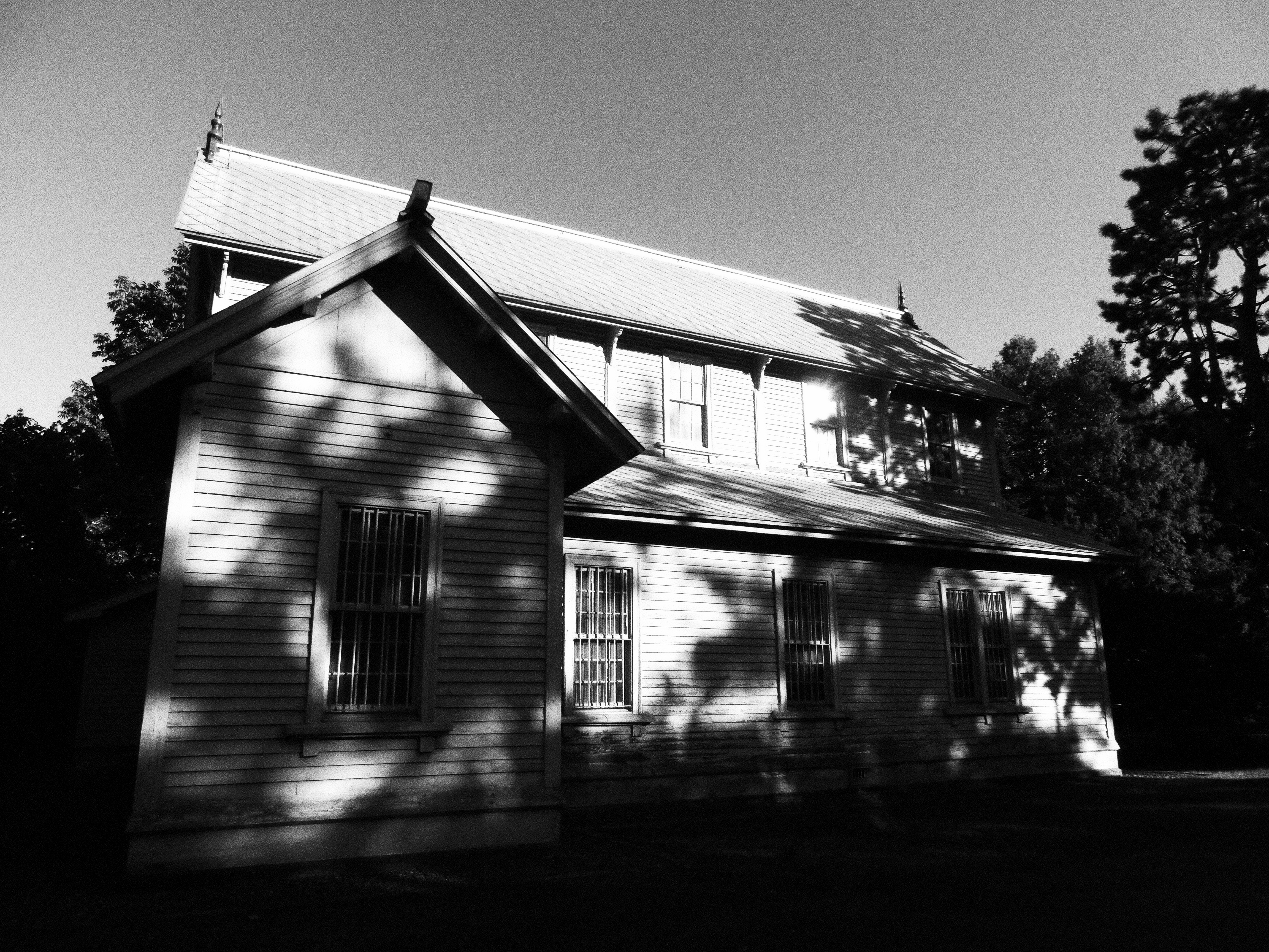 <b>モノクロ：レベル2 / EX-ZR1000 / 4,608×3,456 / 1/1,000秒 / F3 / 0.3EV / ISO80 / WB：オート / 4.24mm（24mm相当）</b>