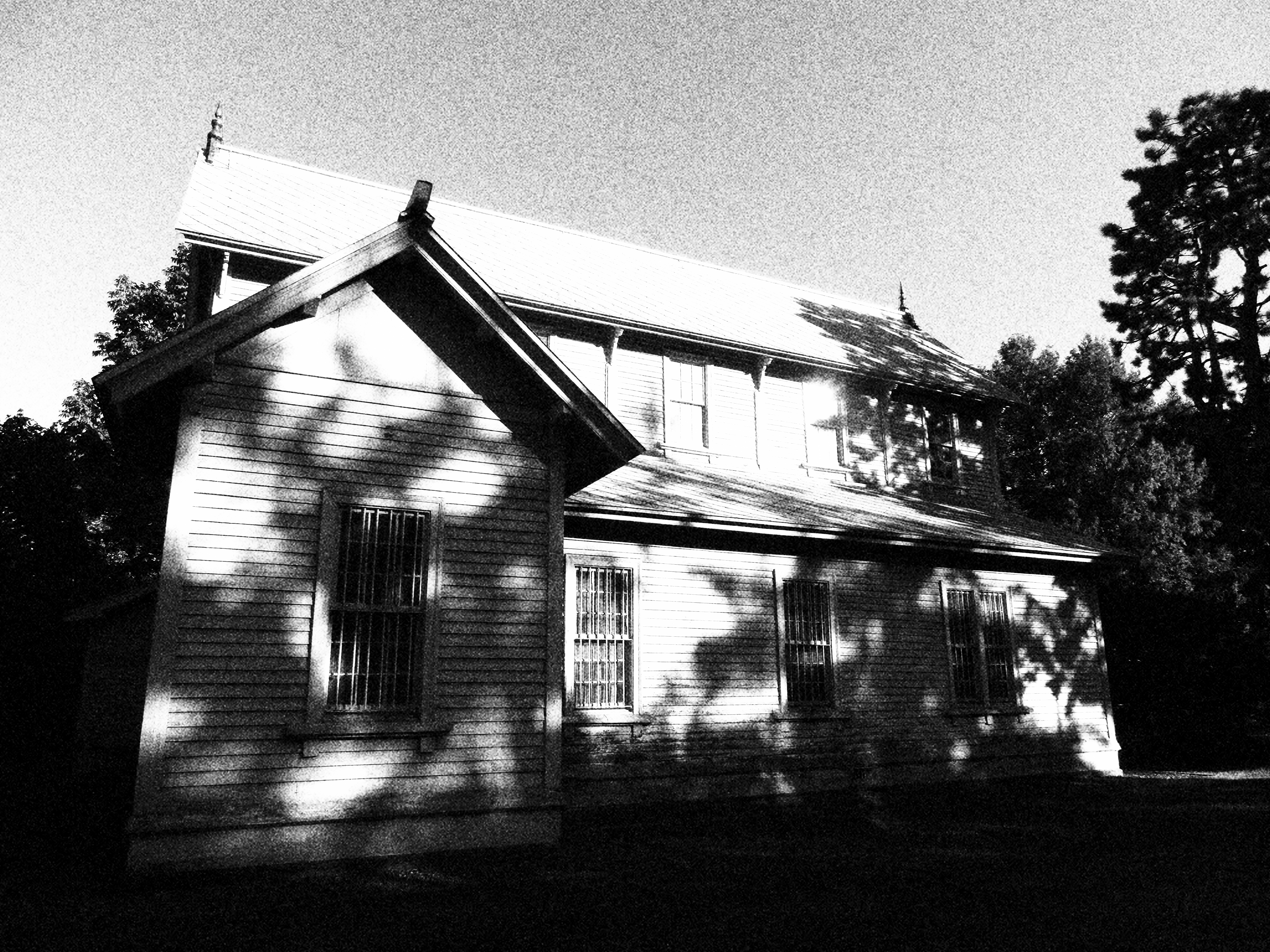 <b>モノクロ：レベル3 / EX-ZR1000 / 4,608×3,456 / 1/1,000秒 / F3 / 0.3EV / ISO80 / WB：オート / 4.24mm（24mm相当）</b>