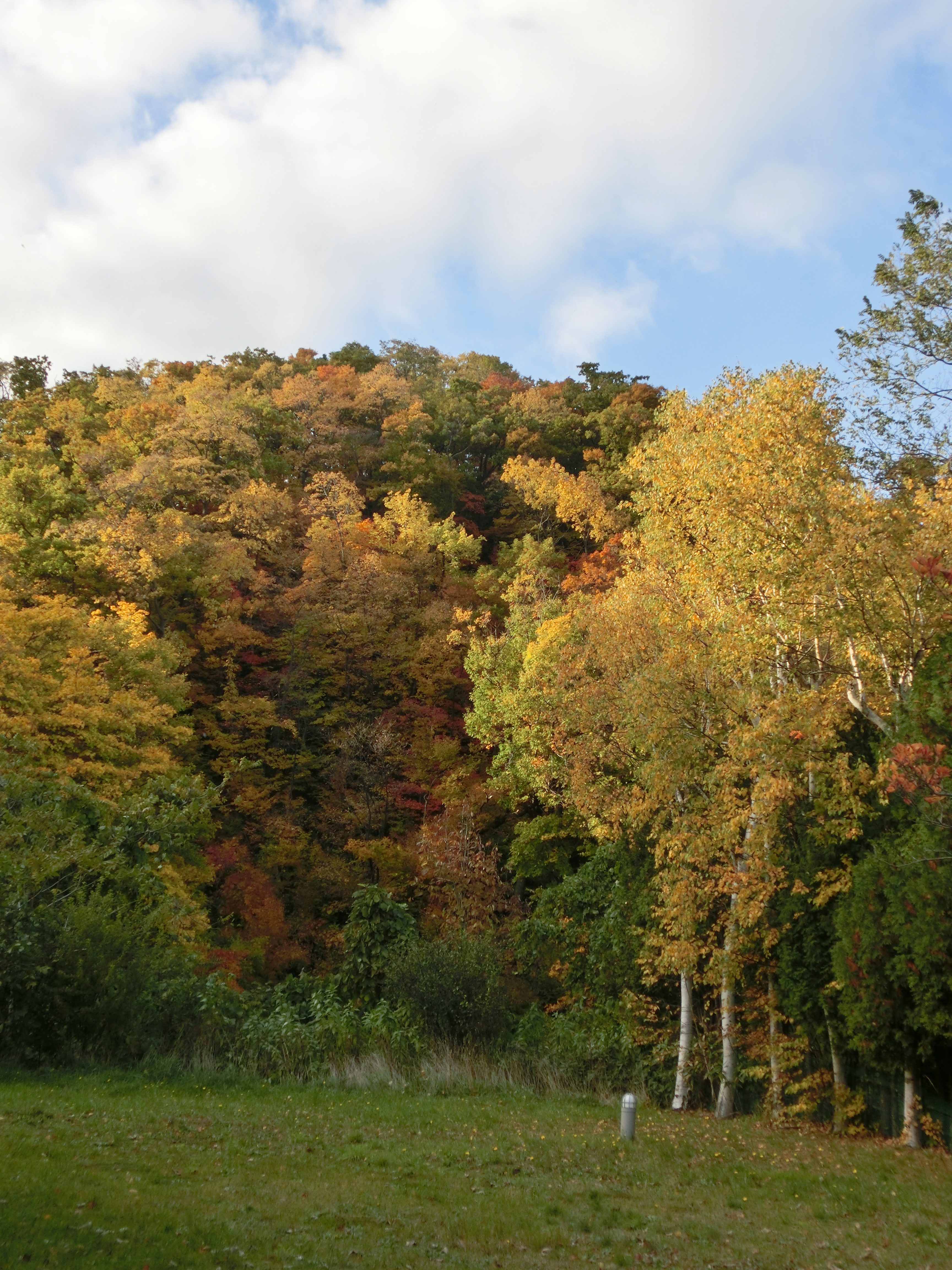 <b>同時記録のJPEG画像 / EX-ZR1000 / 4,608×3,456 / 1/320秒 / F3.9 / -0.7EV / ISO80 / WB：オート / 6.67mm（38mm相当）</b>