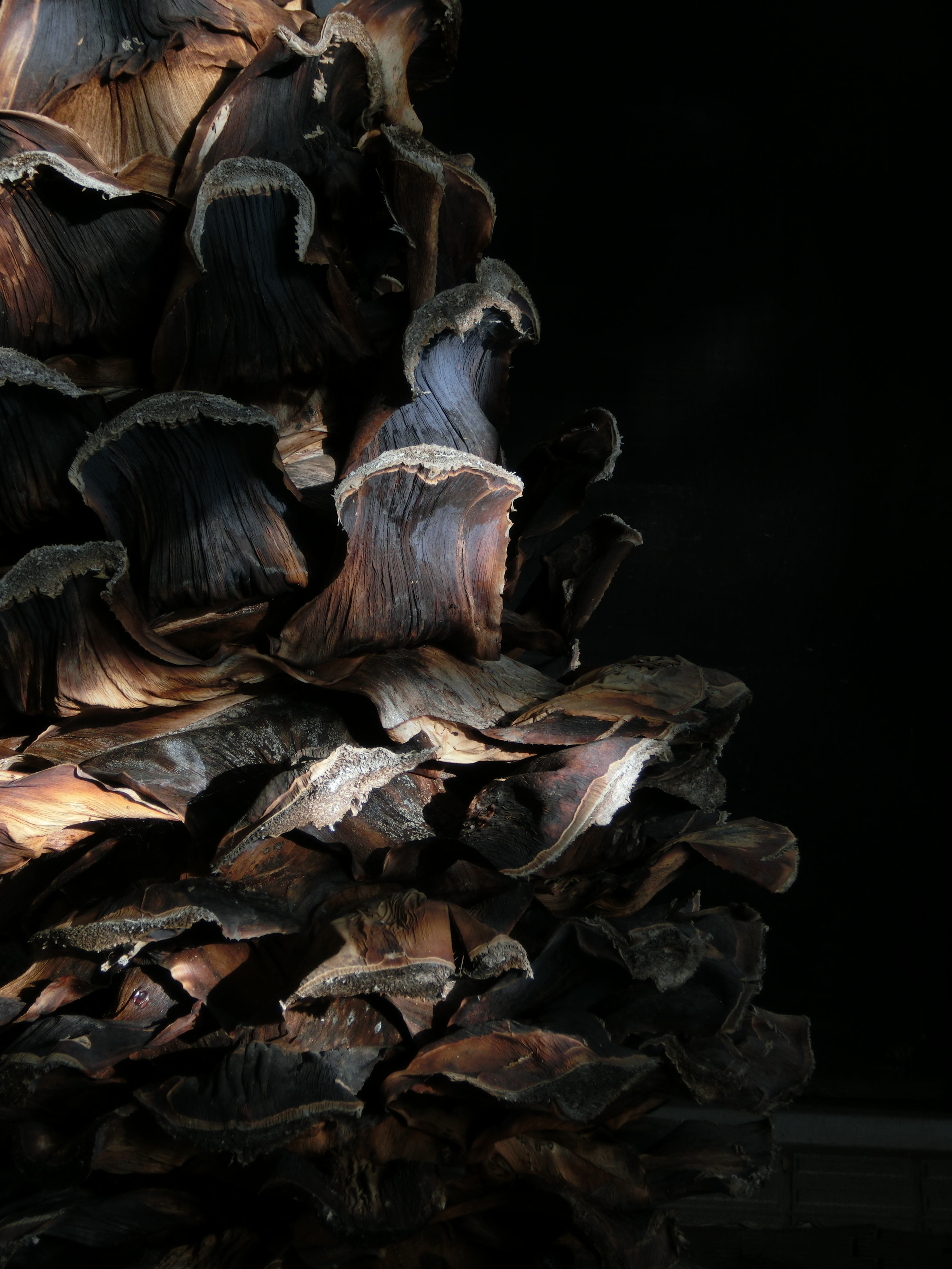 <b>温室の廊下に置かれていた物体。なんだかよく分からないけど。EX-ZR1000 / 4,608×3,456 / 1/125秒 / F5 / -1.3EV / ISO80 / WB：オート / 15.16mm（85mm相当）</b>