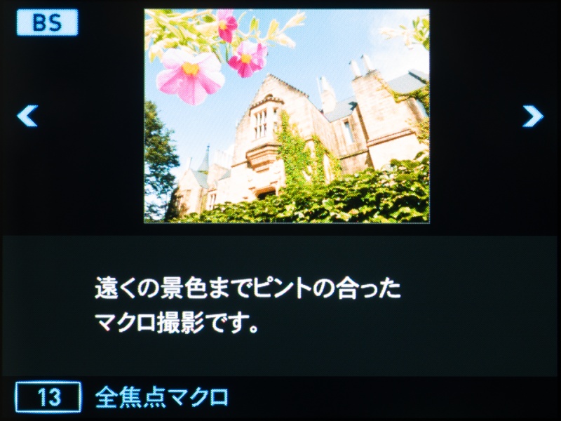 <b>新「ベストショット」の「全焦点マクロ」。連写合成によって、至近距離から無限遠までピントが合った写真が撮れる。</b>