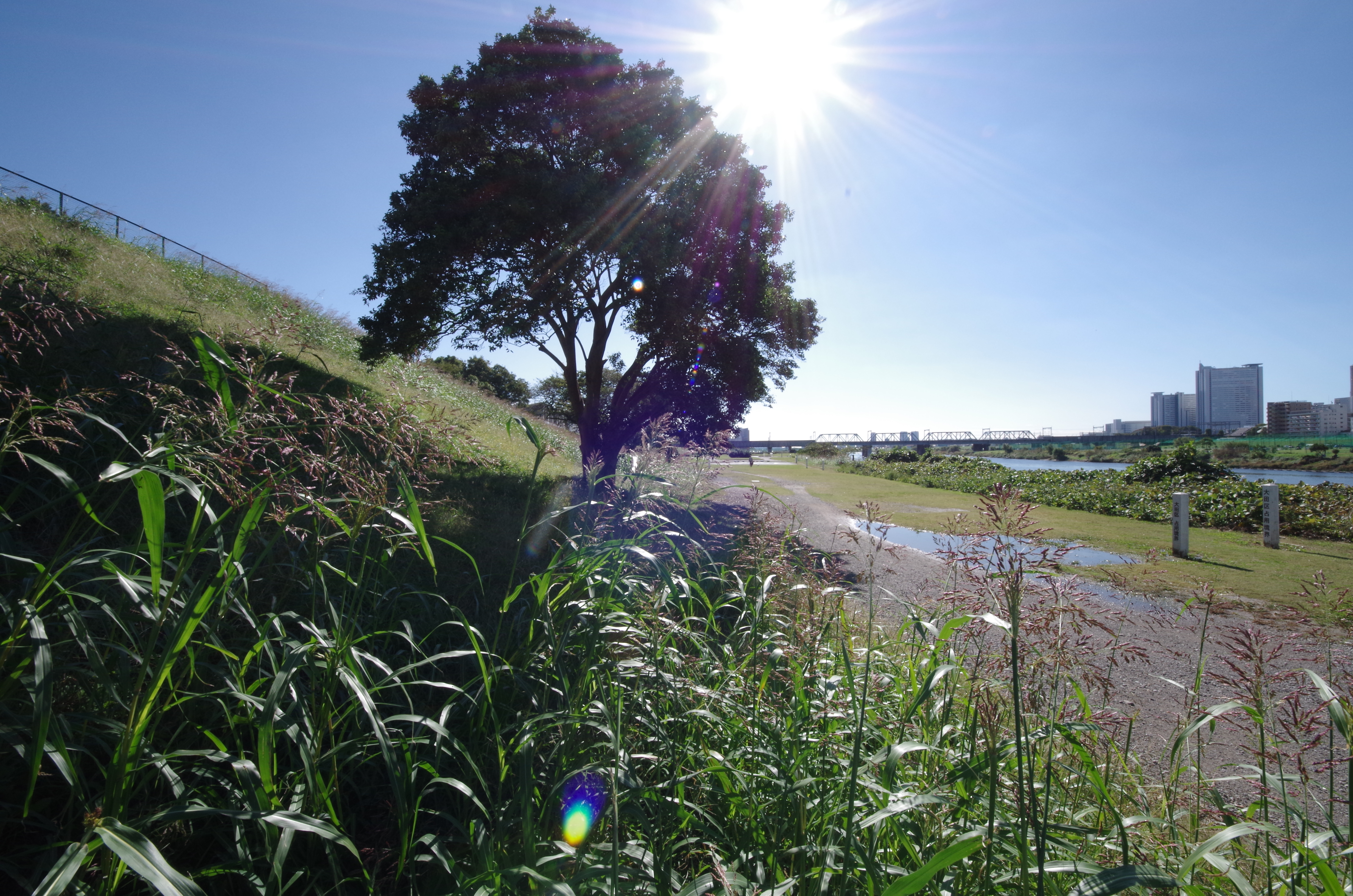 <b>フレアは改善するがゴーストがはっきりしてくる。8-16mm F4.5-5.6 DC HSM / F16 / 8mm</b>