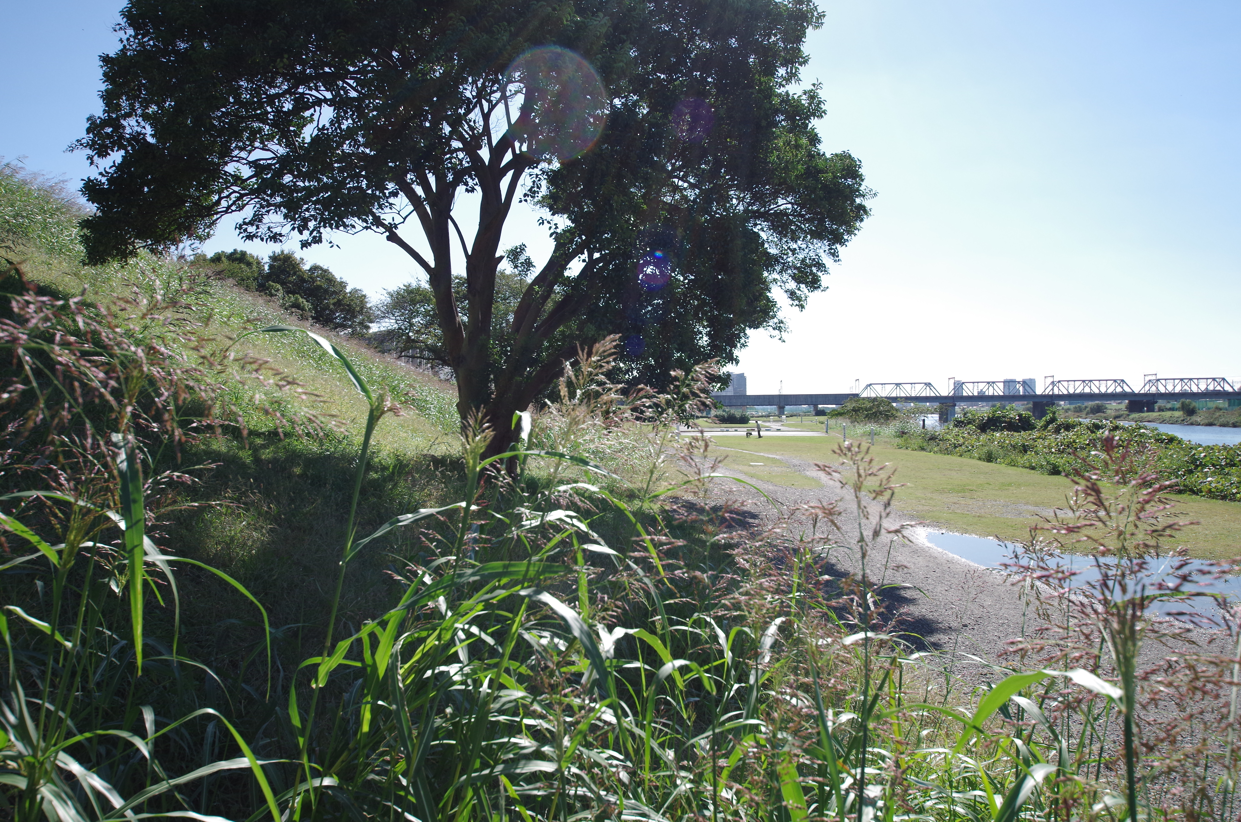 <b>ズームフードの効果で、8mm側よりもむしろコントラストは高い。8-16mm F4.5-5.6 DC HSM / F5.6 / 16mm</b>