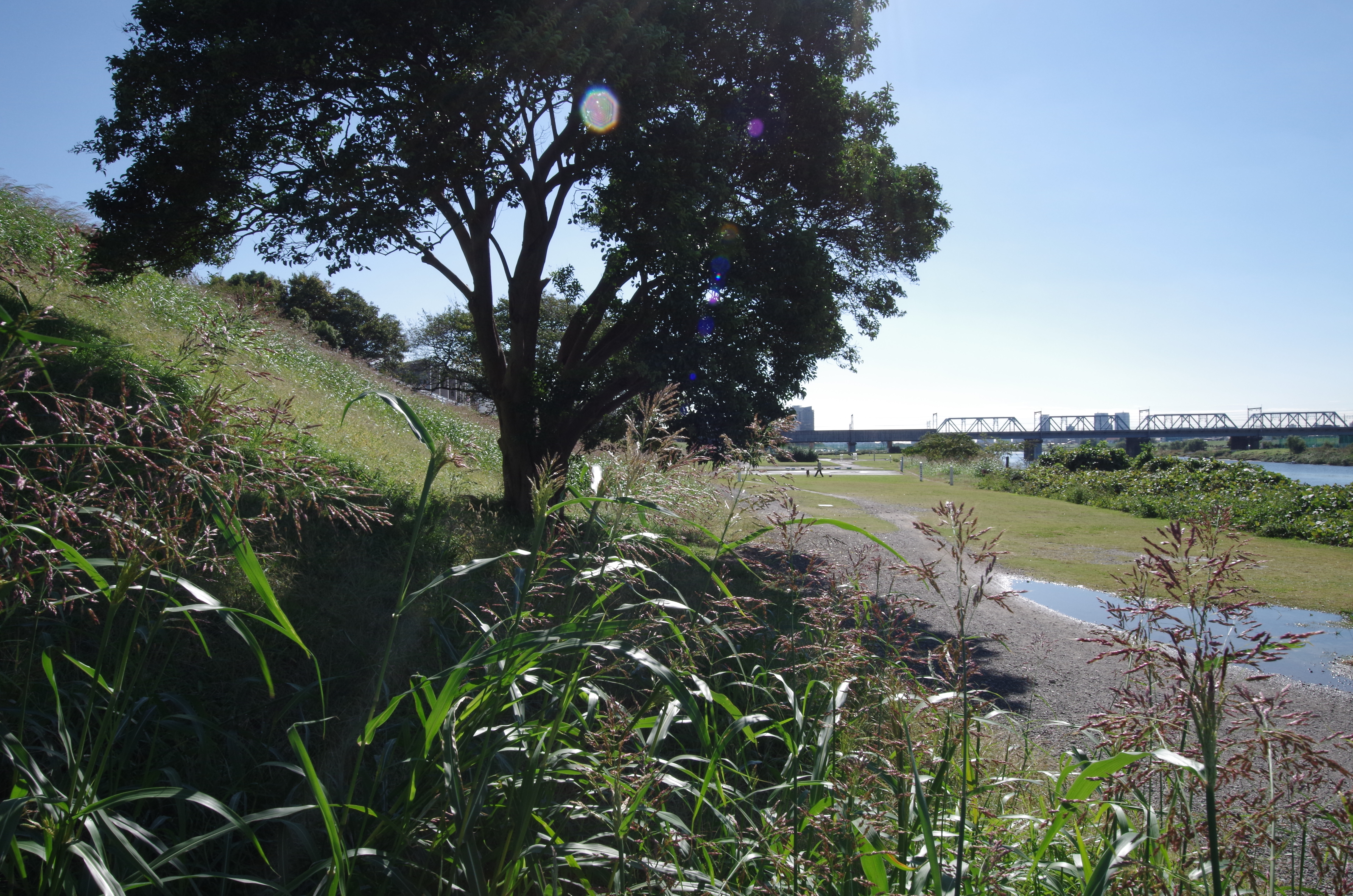 <b>わずかにゴーストが見られる以外ほとんど逆光であることを感じさせない。8-16mm F4.5-5.6 DC HSM / F16 / 16mm</b>