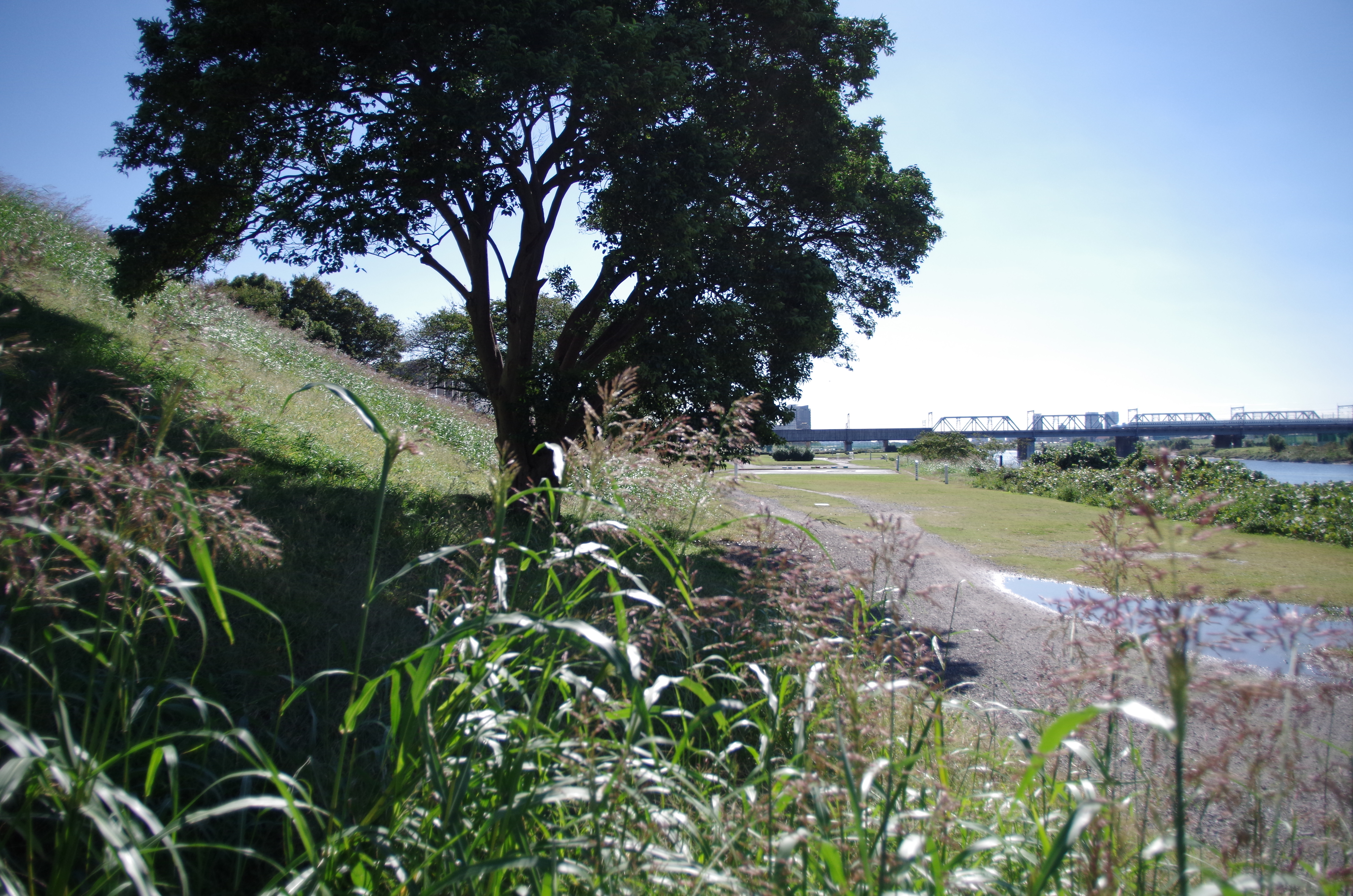 <b>DA 15mm F4 ED AL Limited / F4</b>