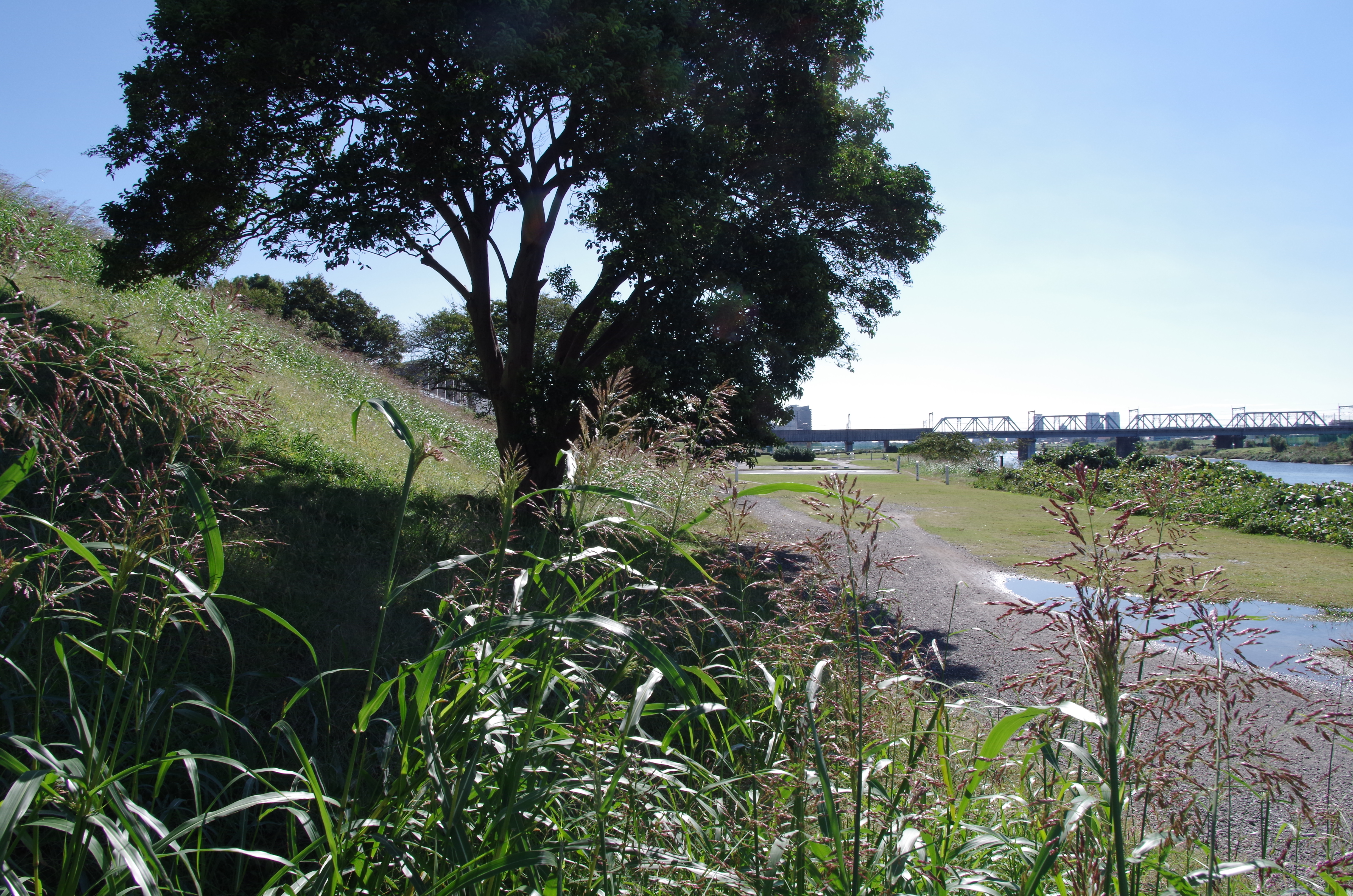 <b>DA 15mm F4 ED AL Limited / F16</b>