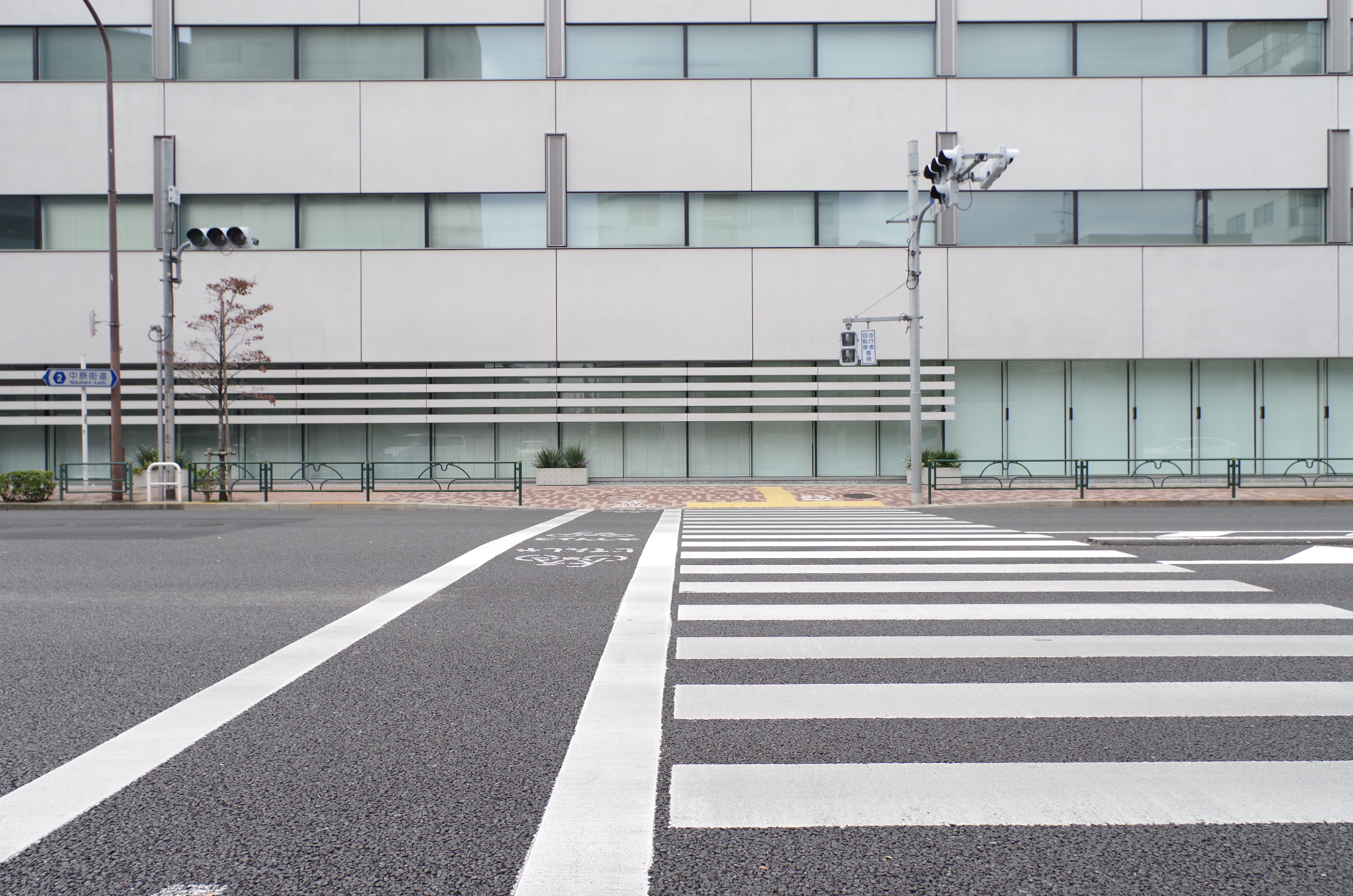 <b>DA 15mm F4 ED AL Limited / ディストーション補正ON / 倍率色収差除去ON</b>