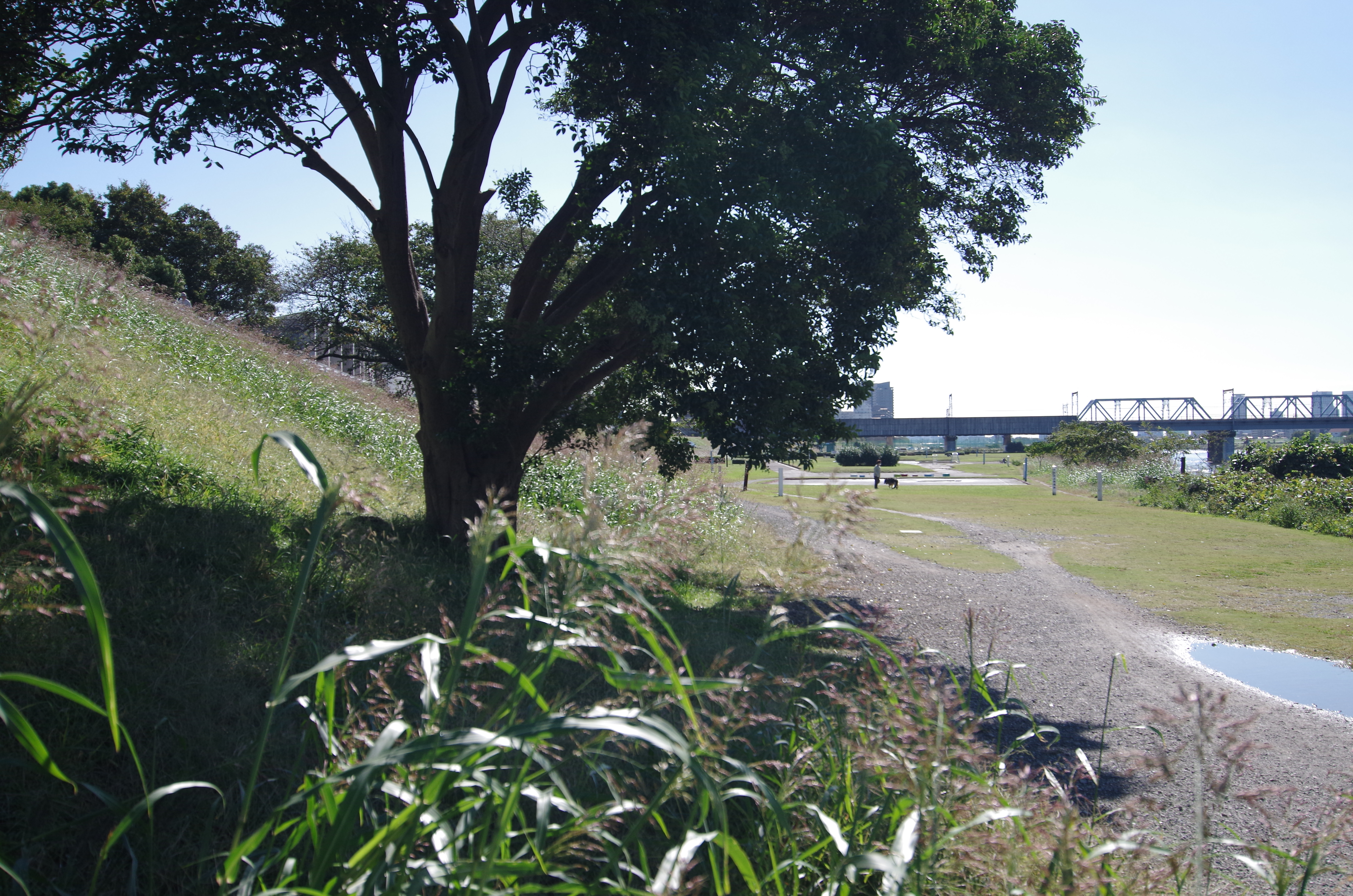 <b>DA 12-24mm F4 ED AL [IF] / F4 / 24mm</b>