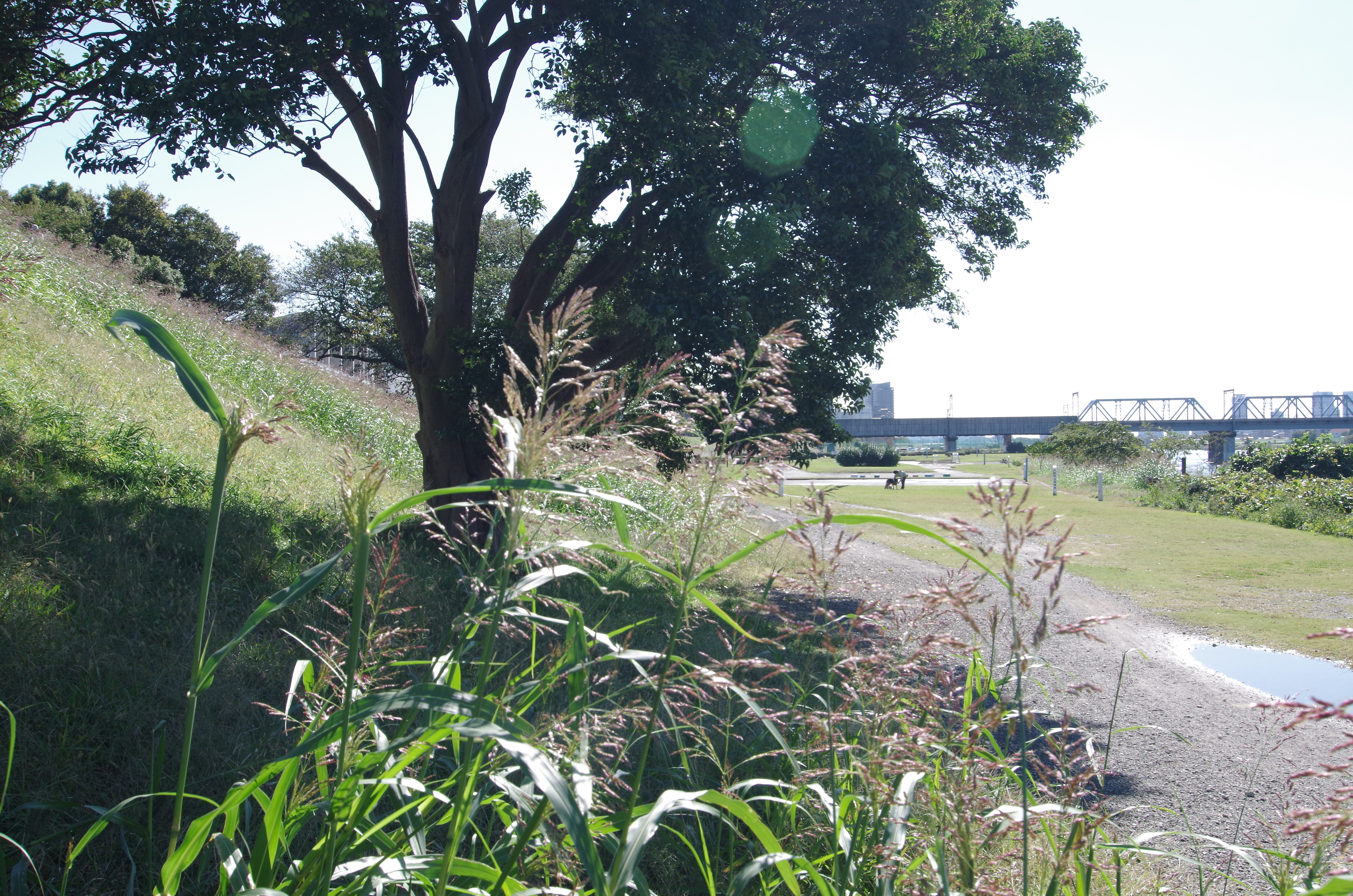 <b>DA 12-24mm F4 ED AL [IF] / F16 / 24mm</b>